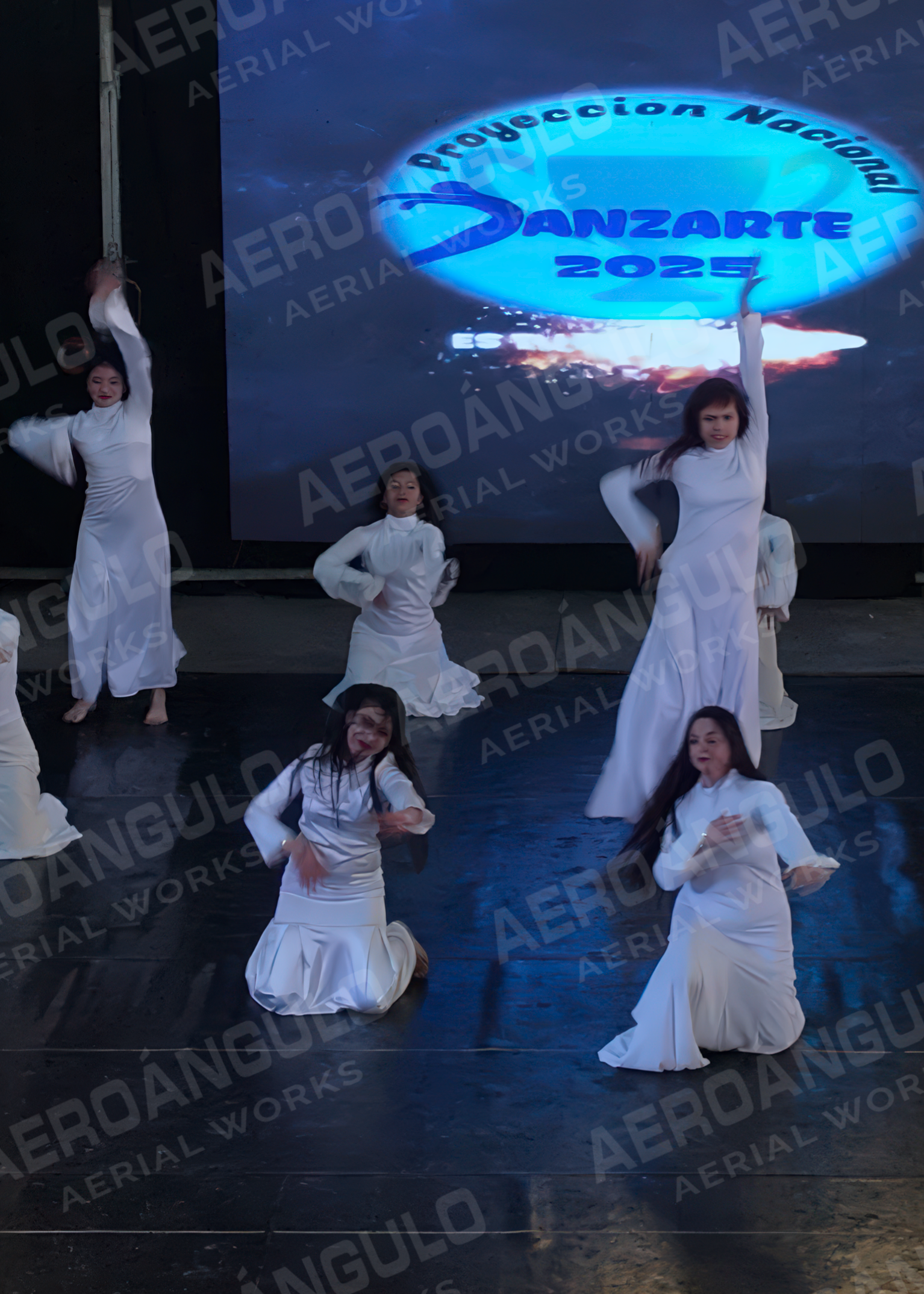 DANZARTE 010