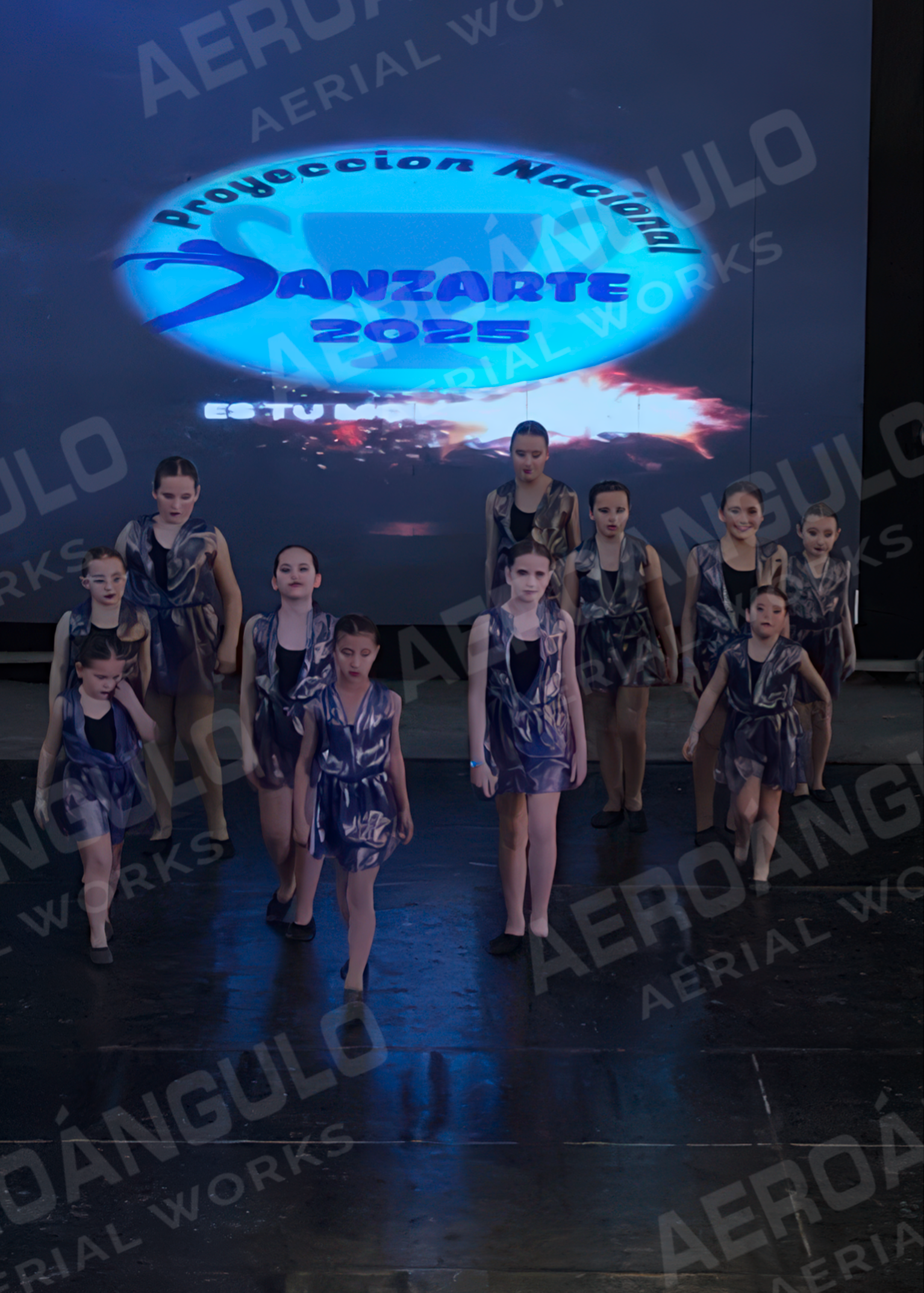 DANZARTE 011