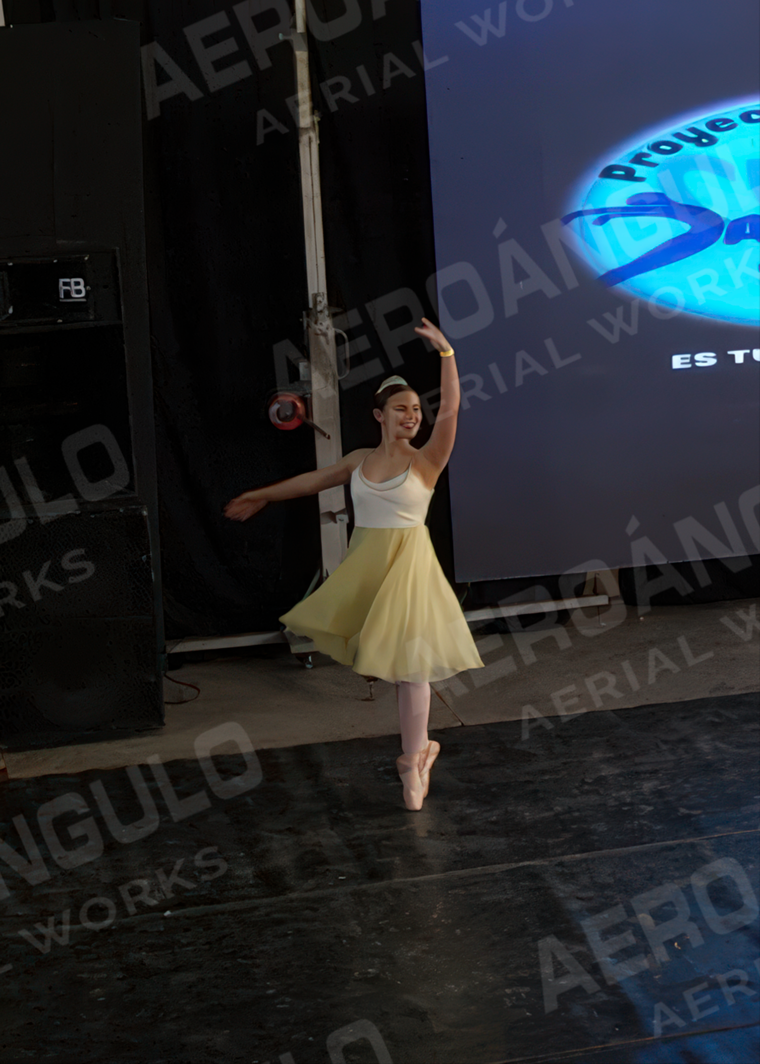 DANZARTE 066