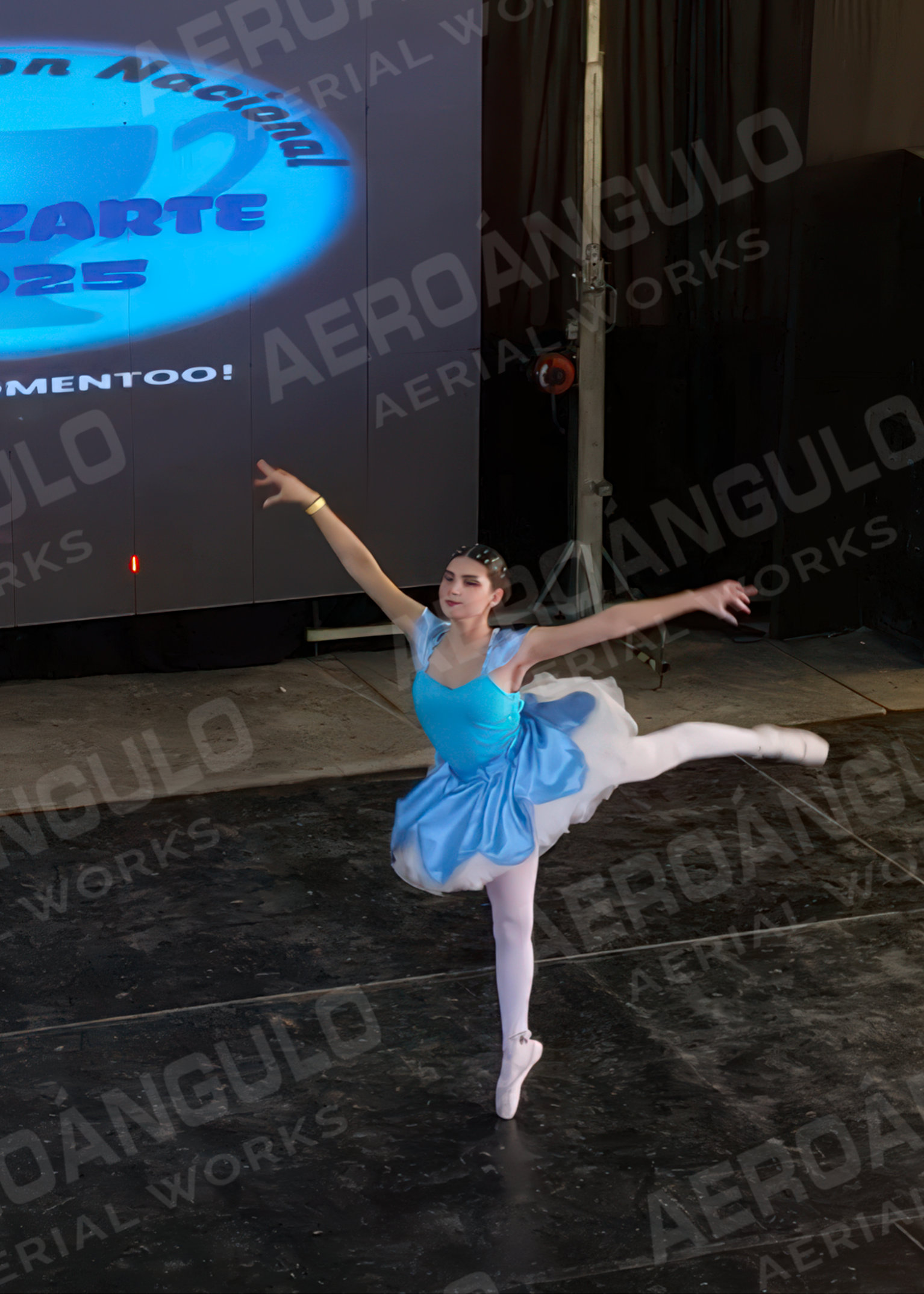 DANZARTE 067