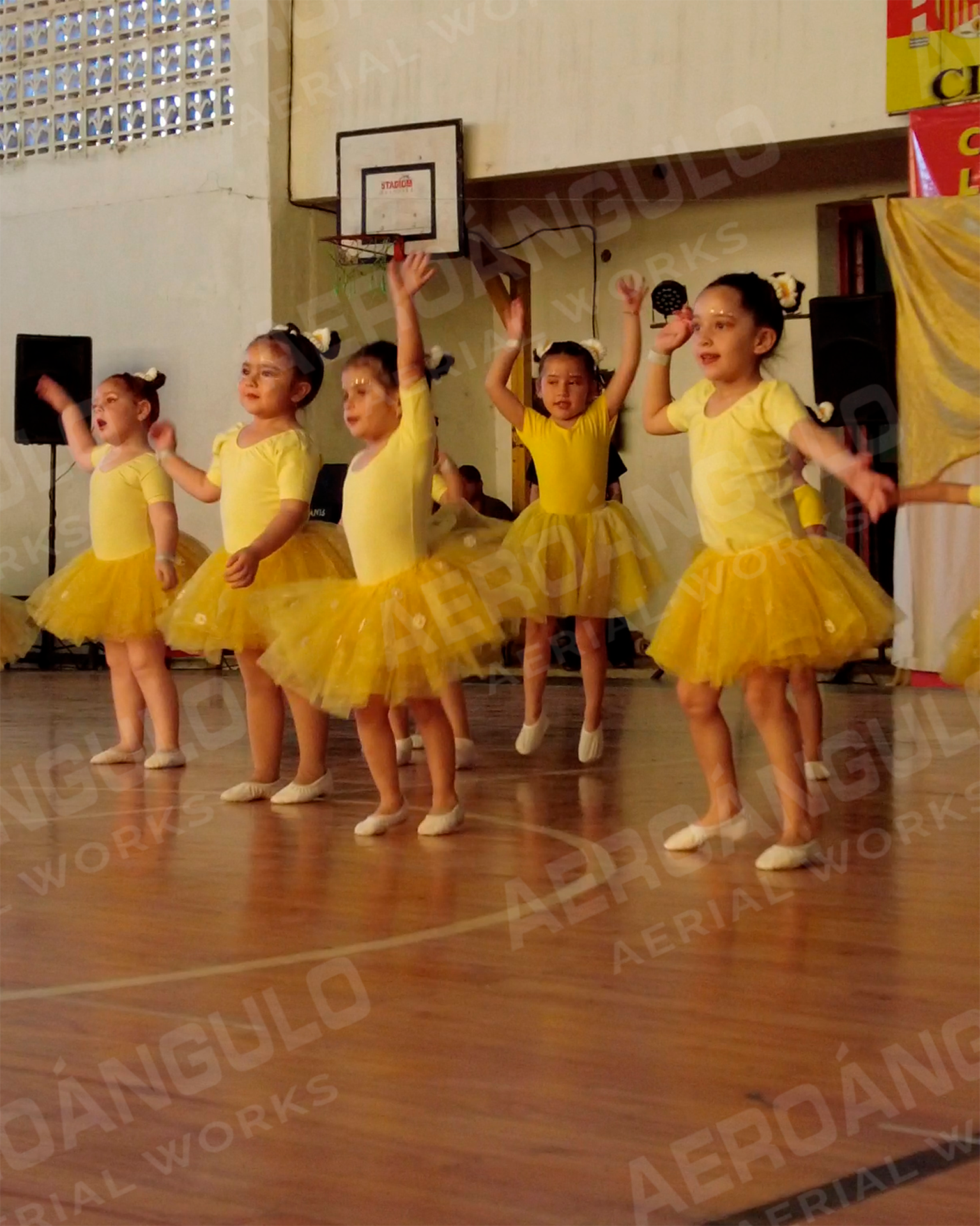 Actuacion Nº 5