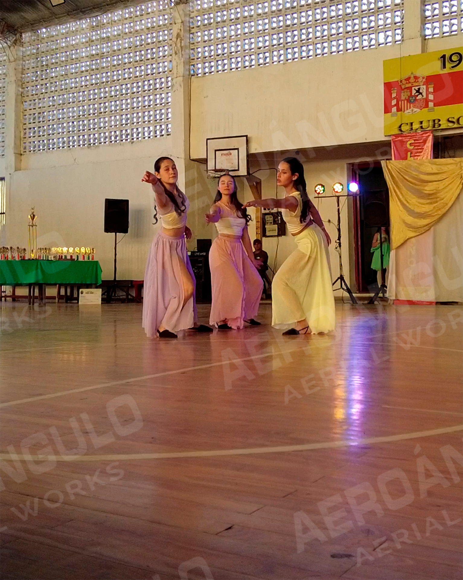 Actuacion Nº 29