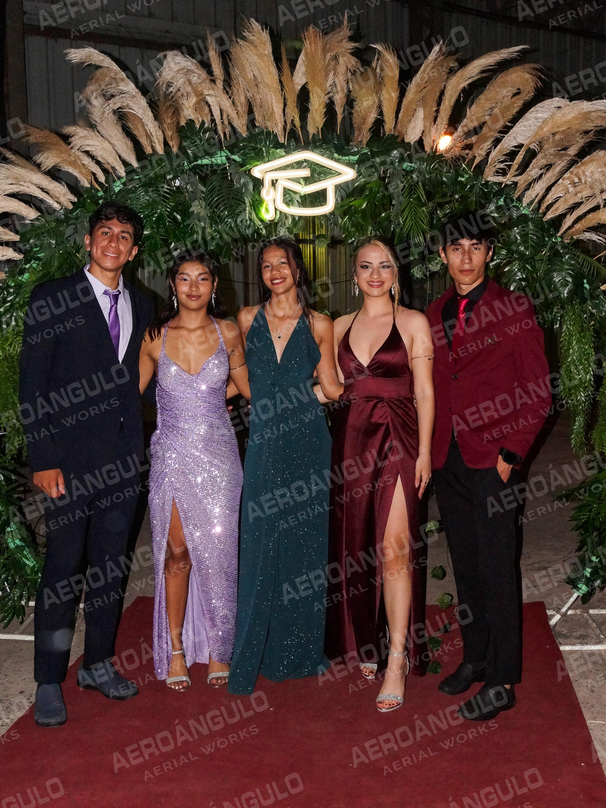 Recepcion Tecnica “ARQ Francisco Pinaroli”