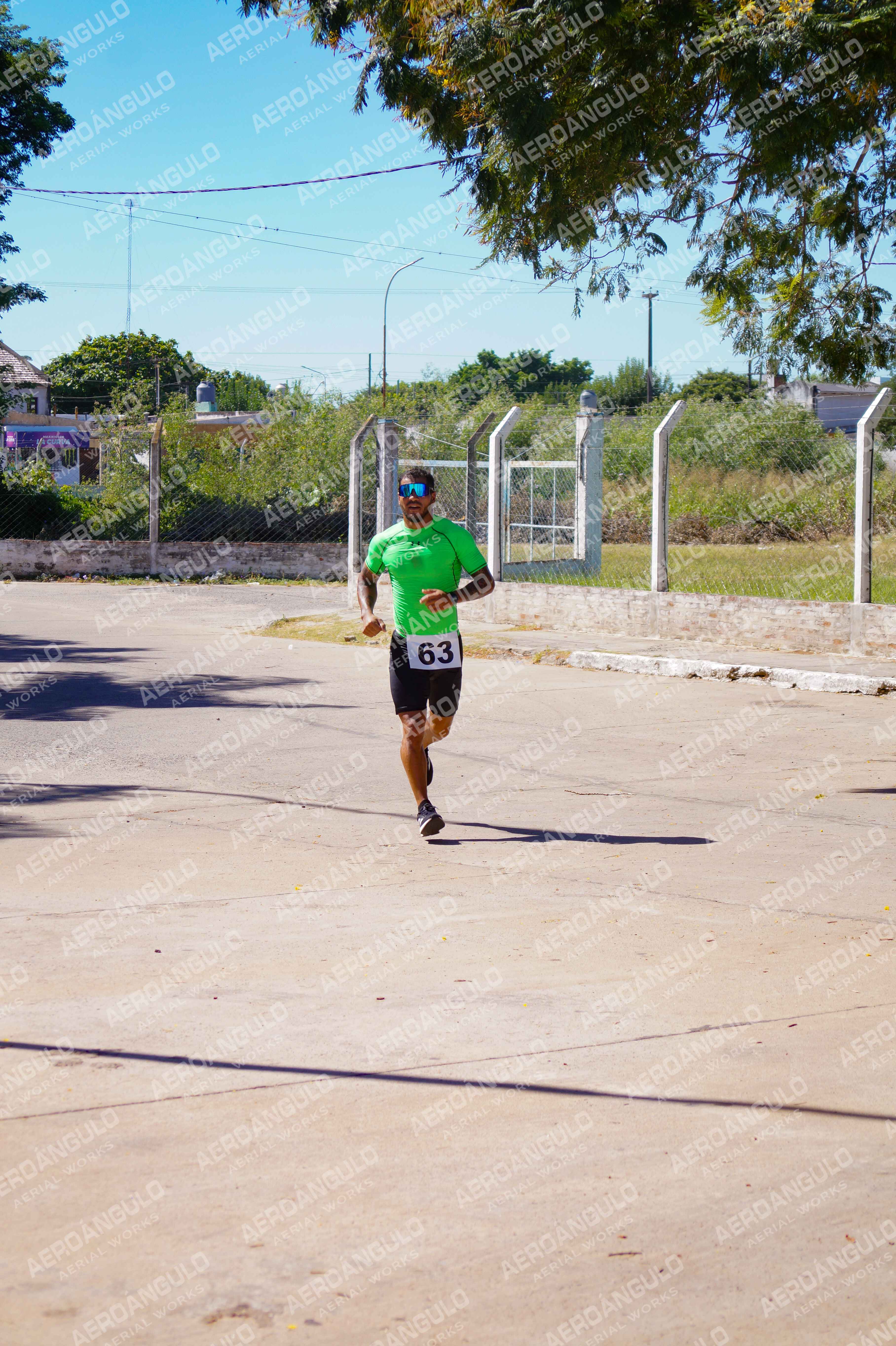 ACUATLONGOYA N°133