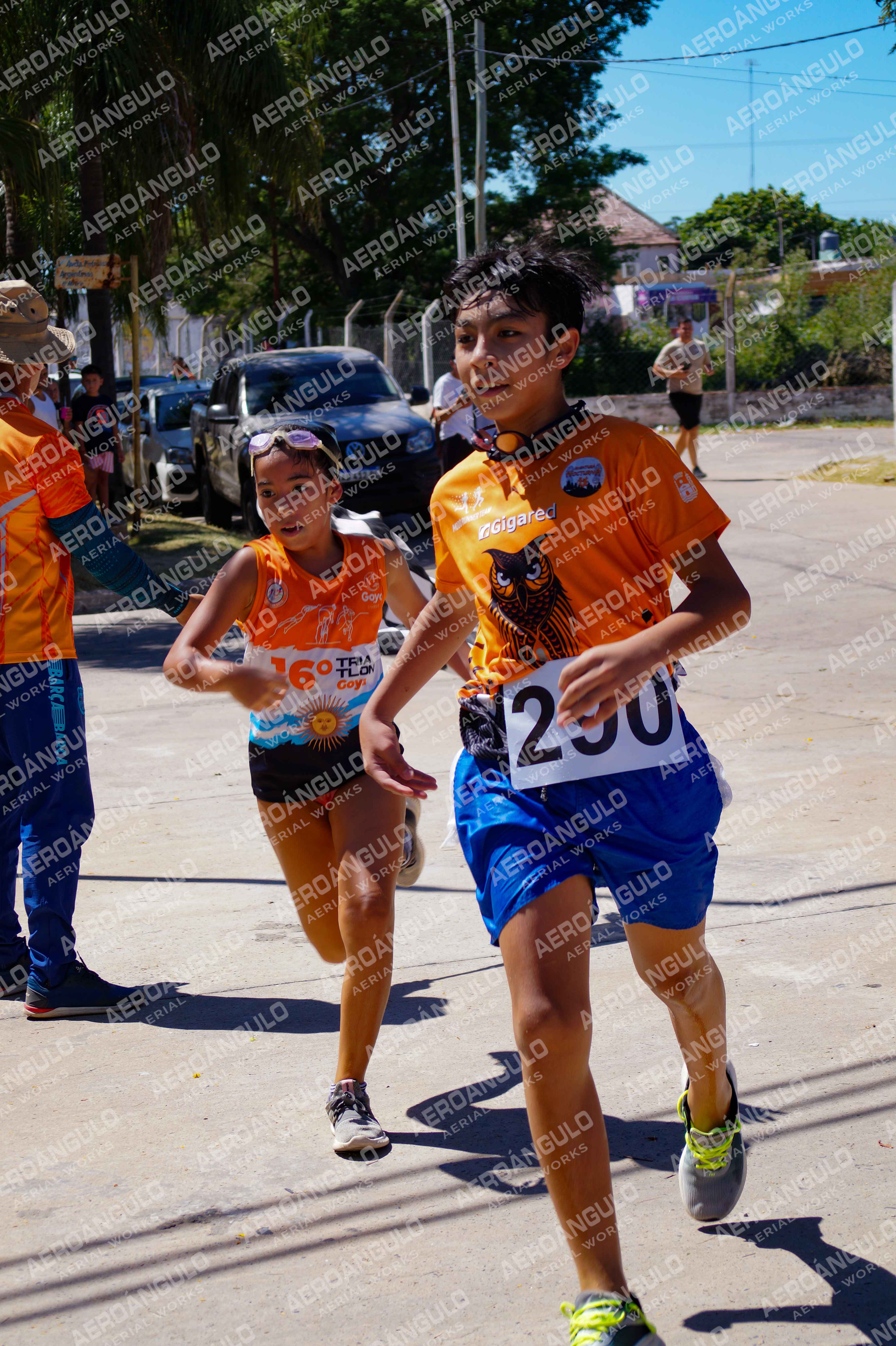 ACUATLONGOYA N°234