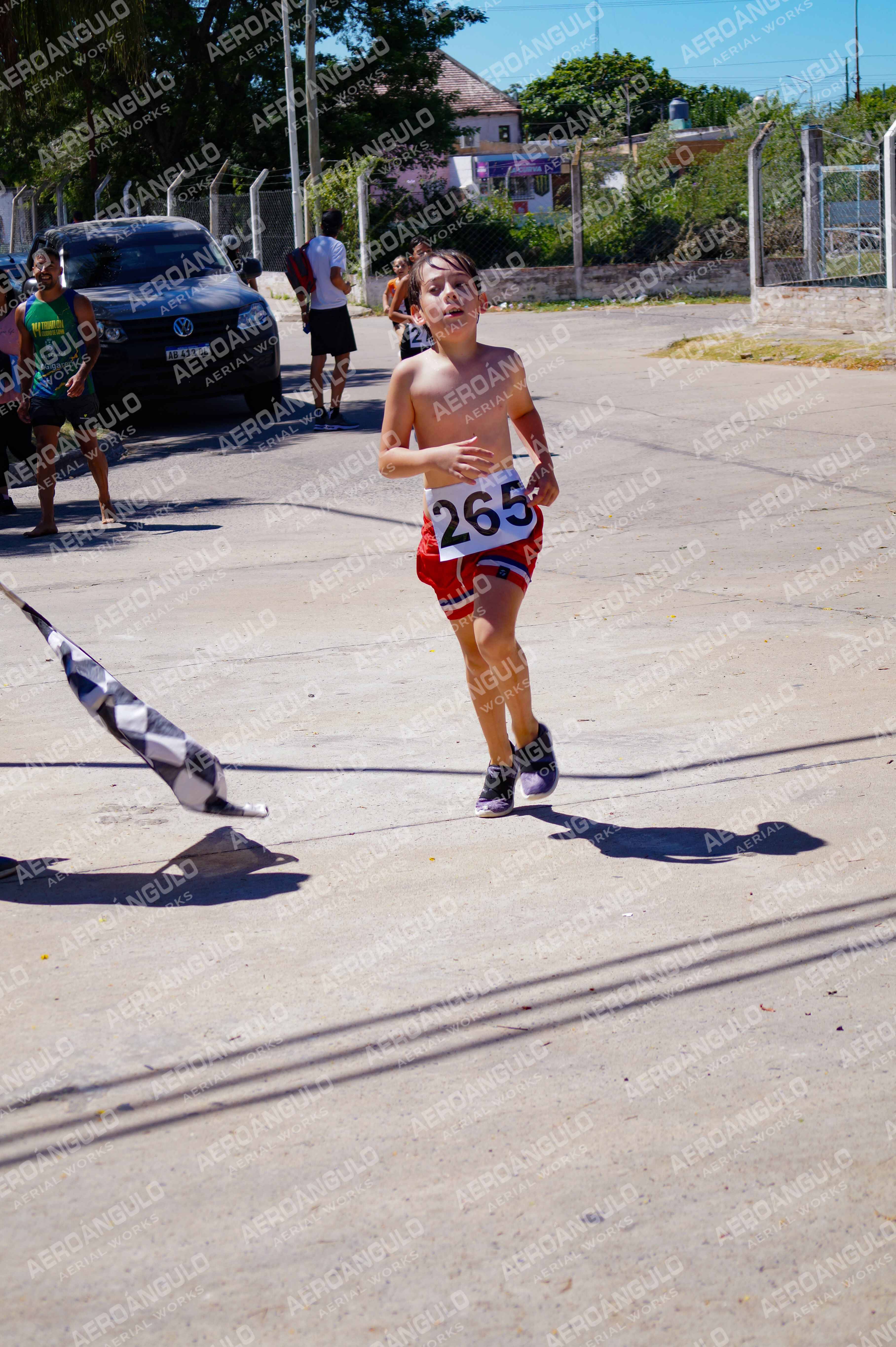 ACUATLONGOYA N°237