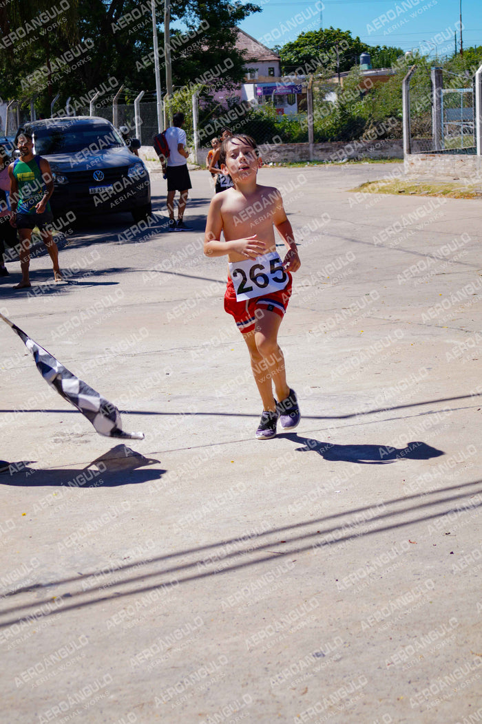 ACUATLONGOYA N°237