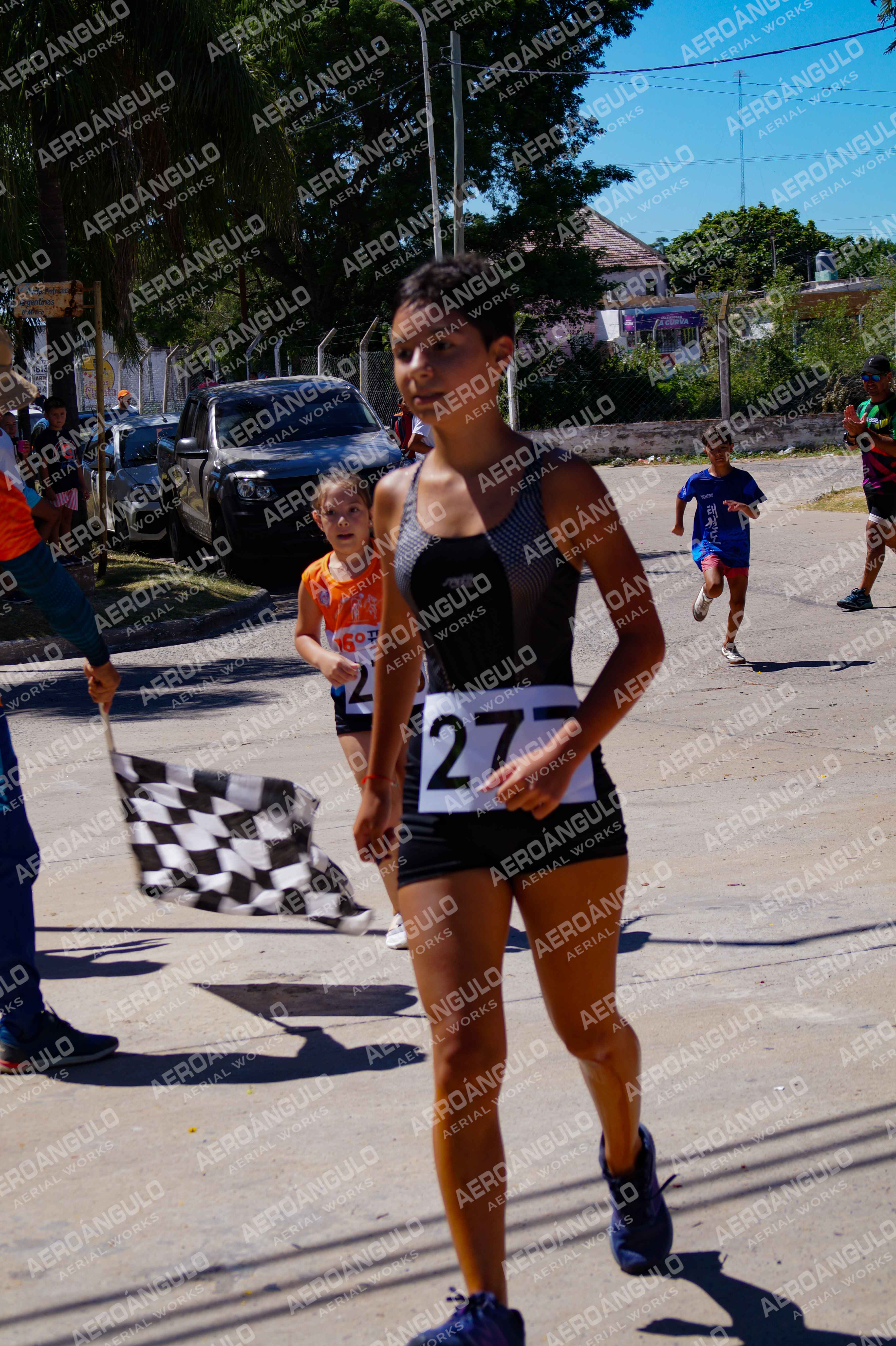 ACUATLONGOYA N°239