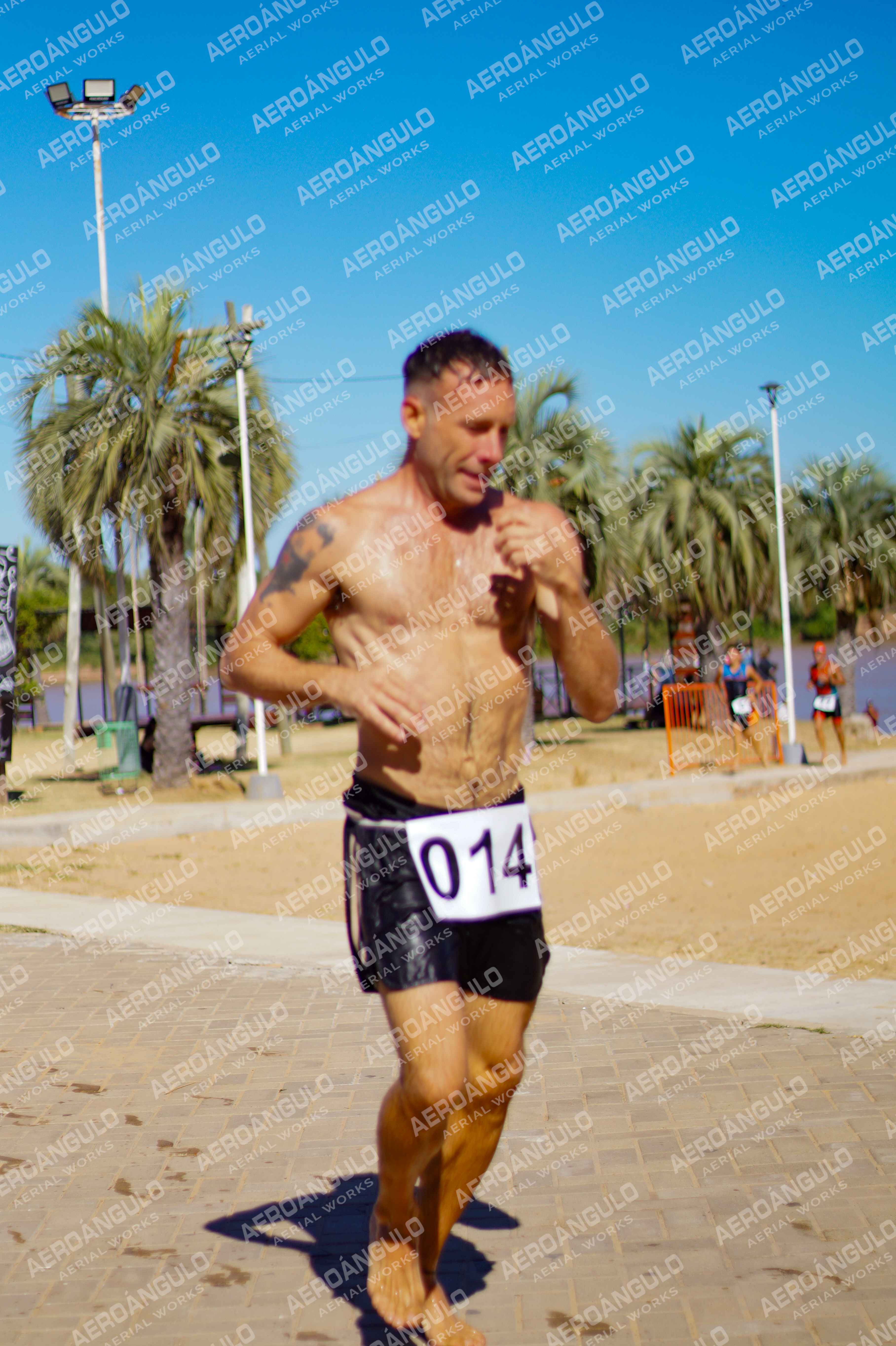 ACUATLONGOYA N°33