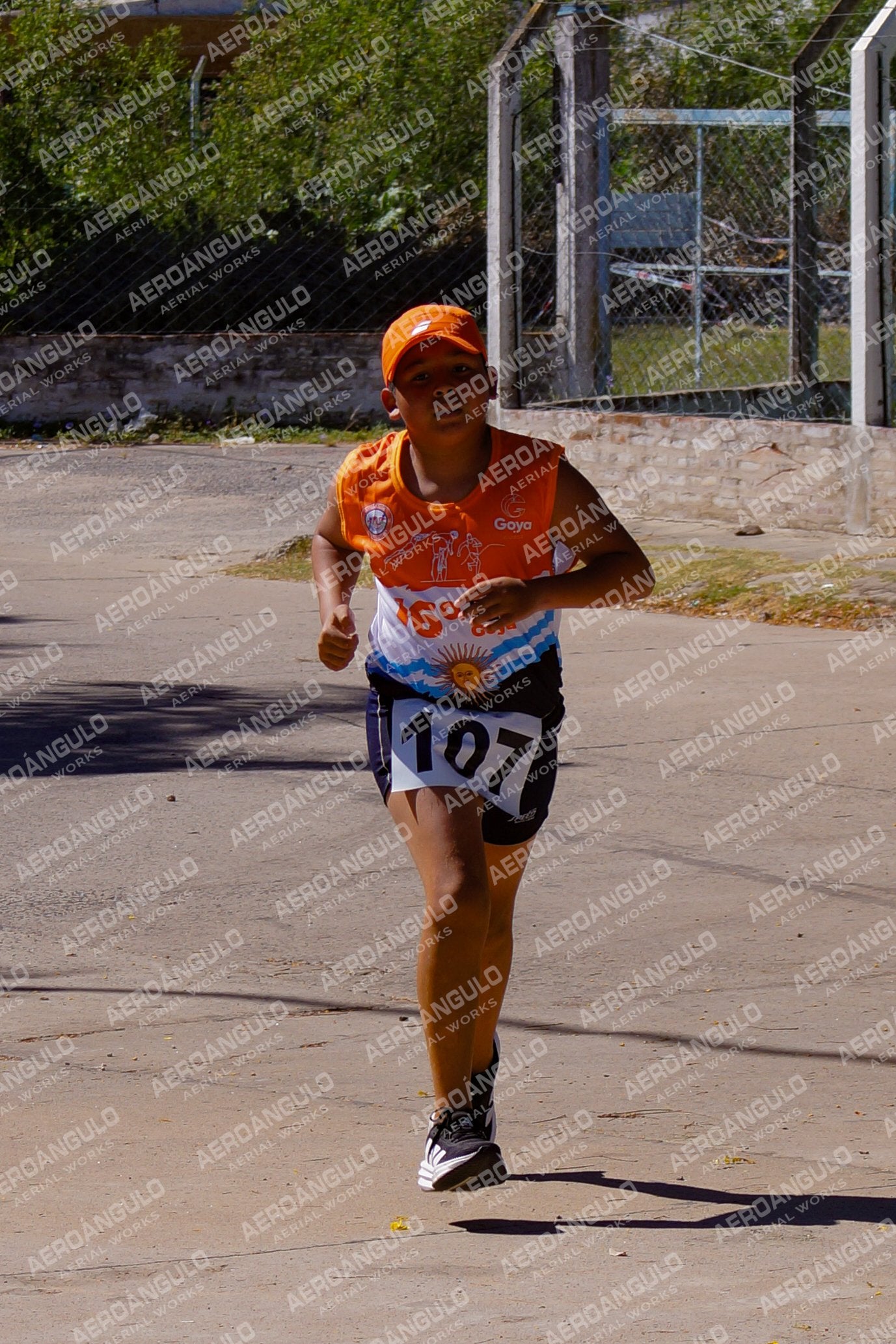 ACUATLONGOYA N°99