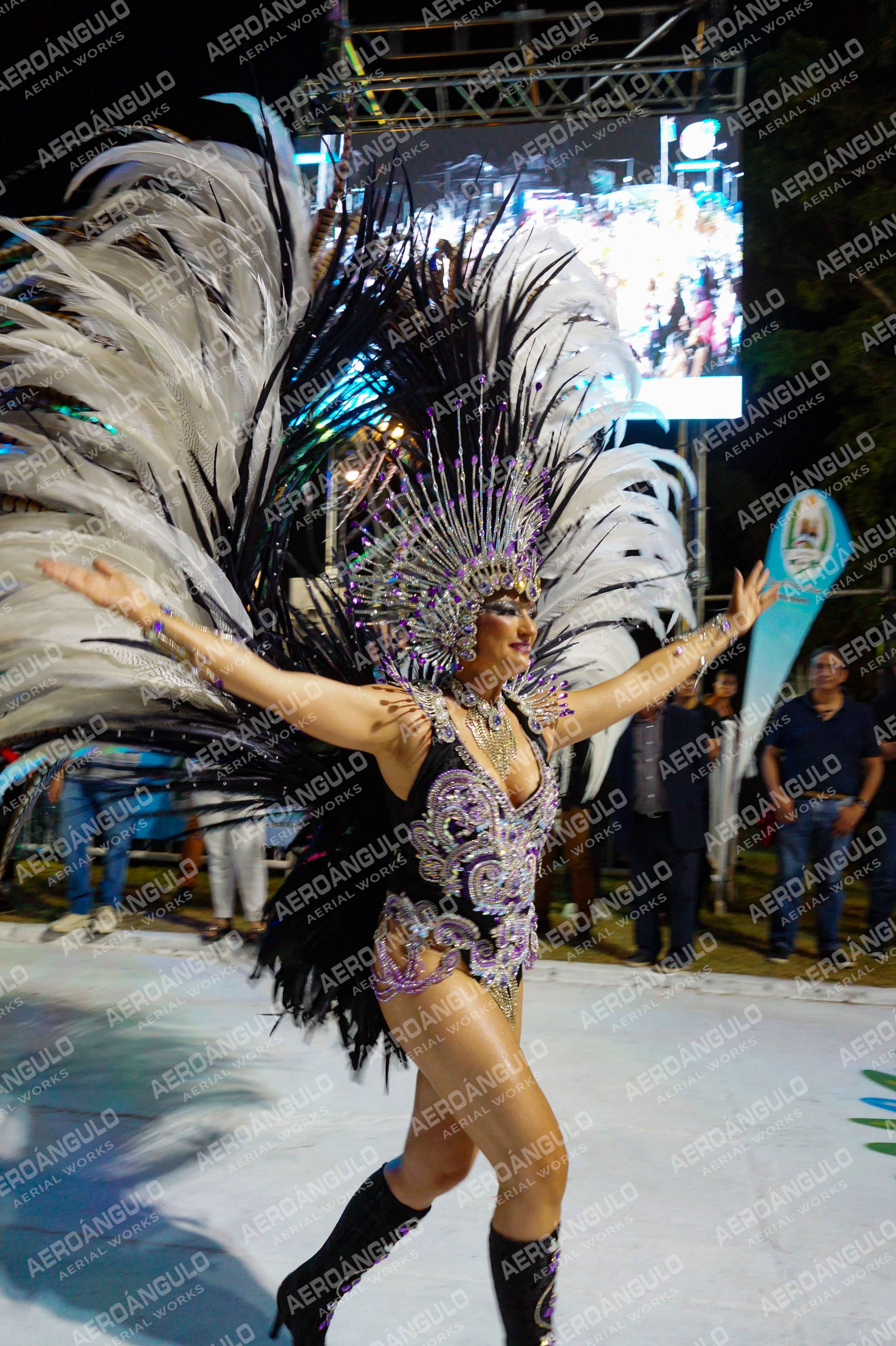 CAROCARNAVALESDIA1 N°113