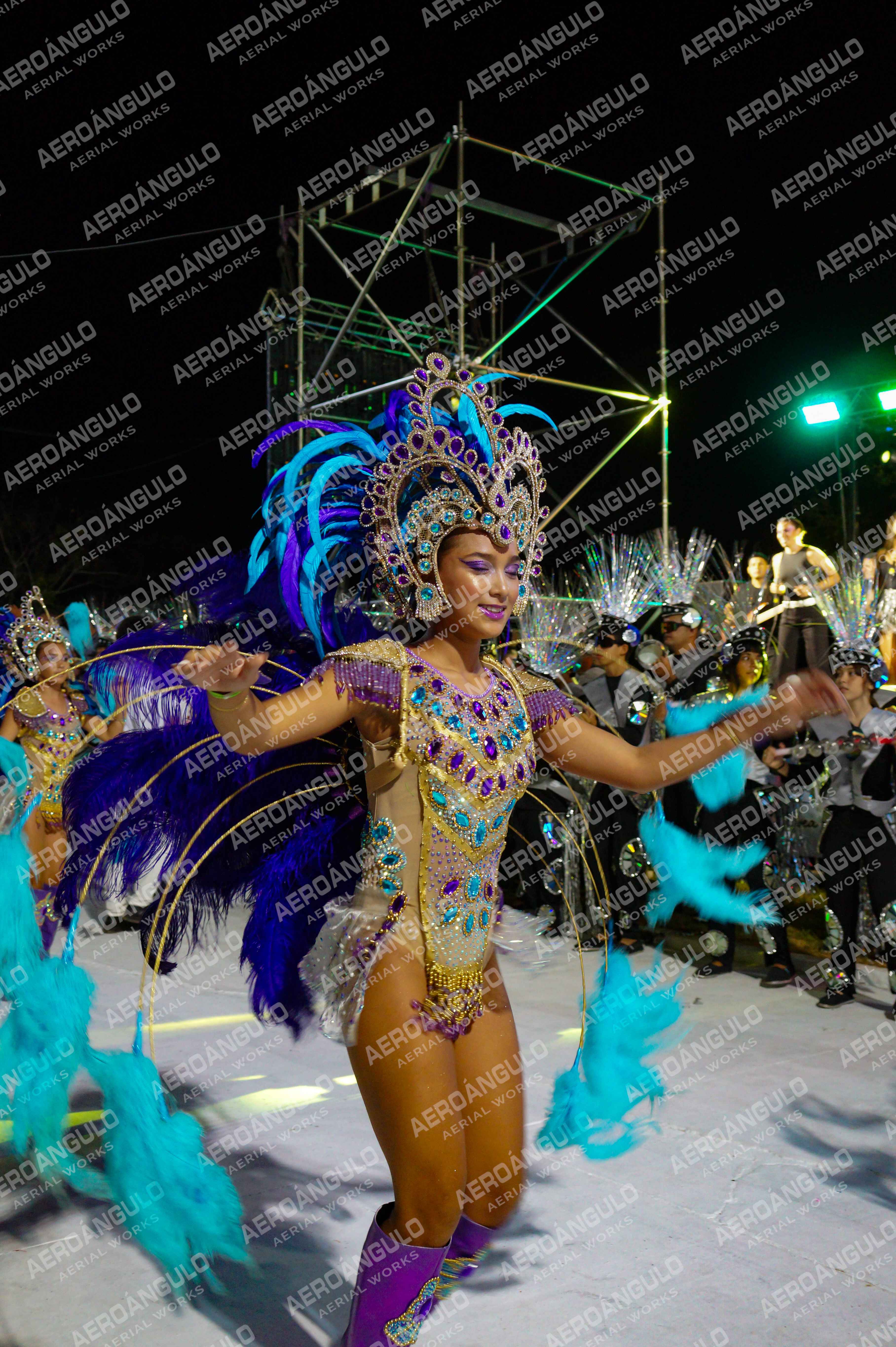 CAROCARNAVALESDIA1 N°117