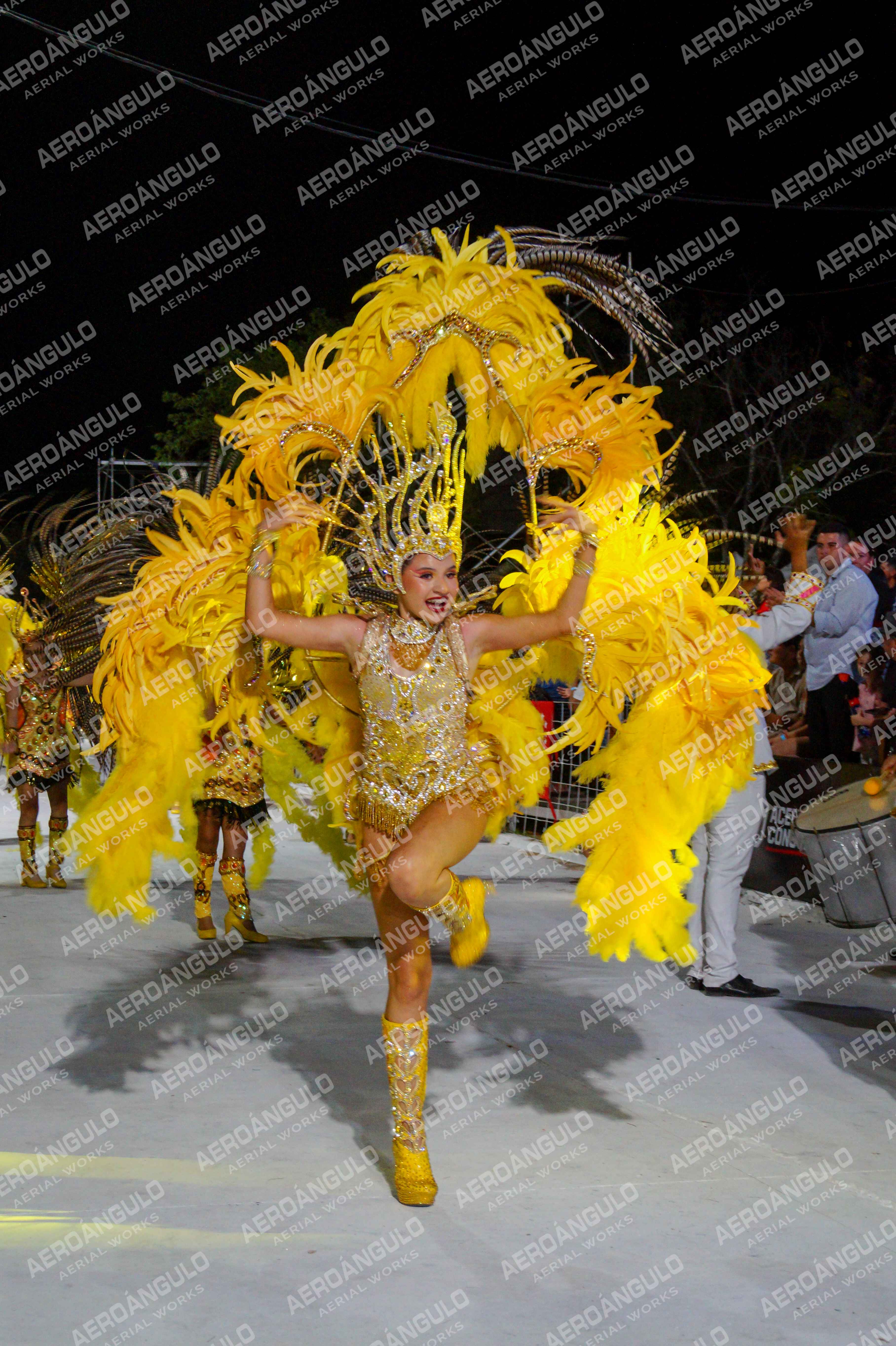 CAROCARNAVALESDIA1 N°133