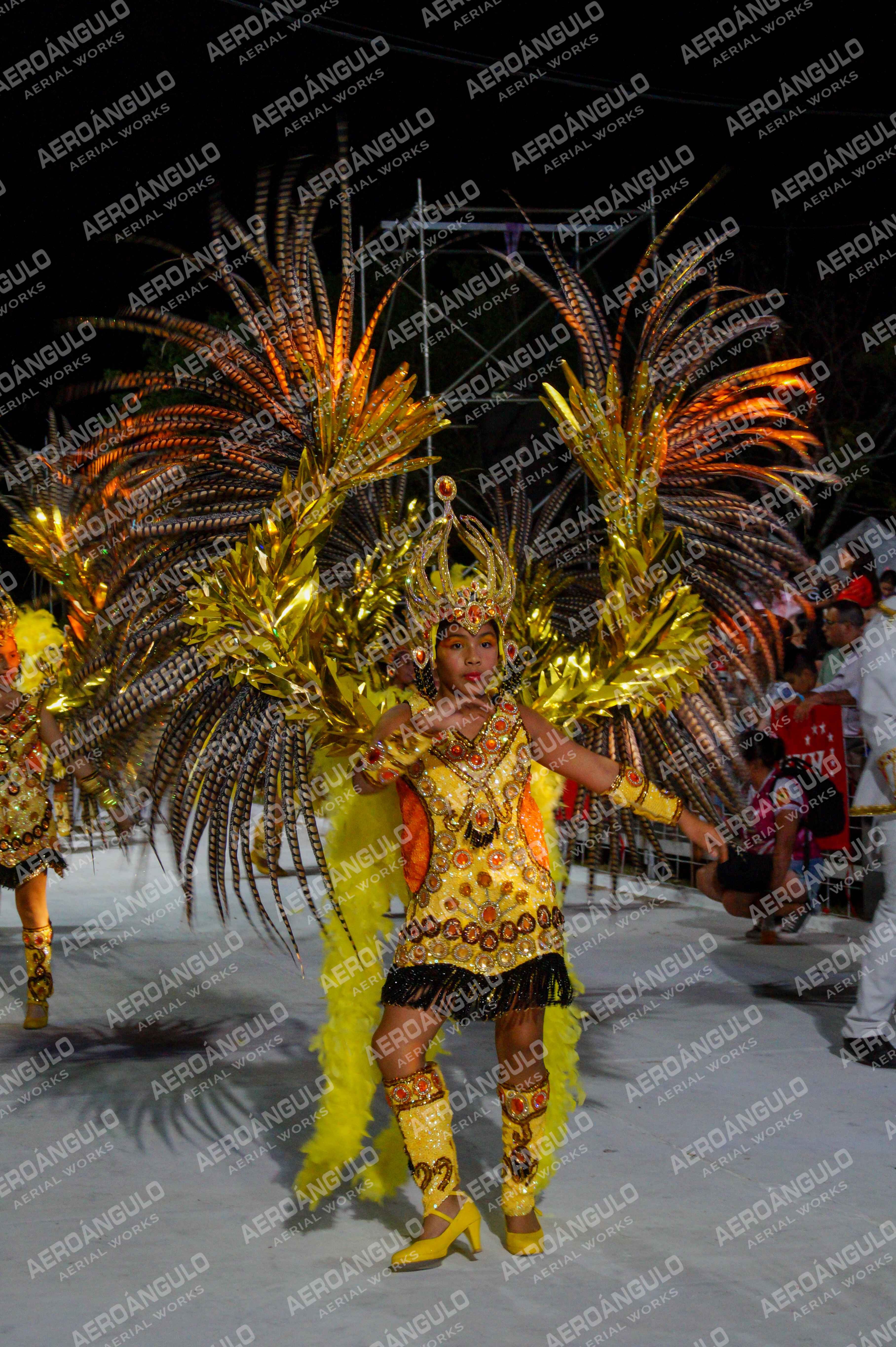 CAROCARNAVALESDIA1 N°135