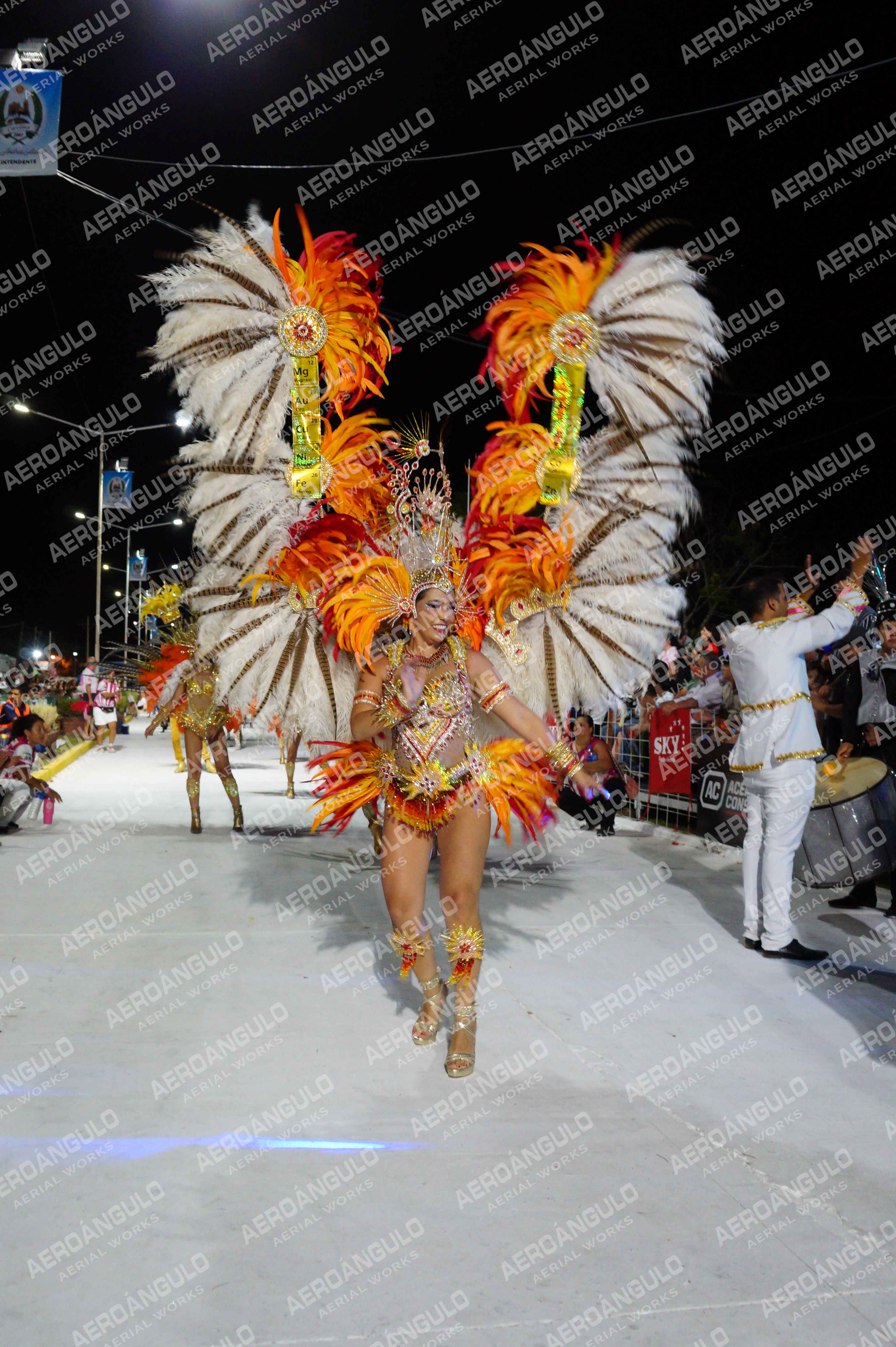CAROCARNAVALESDIA1 N°141