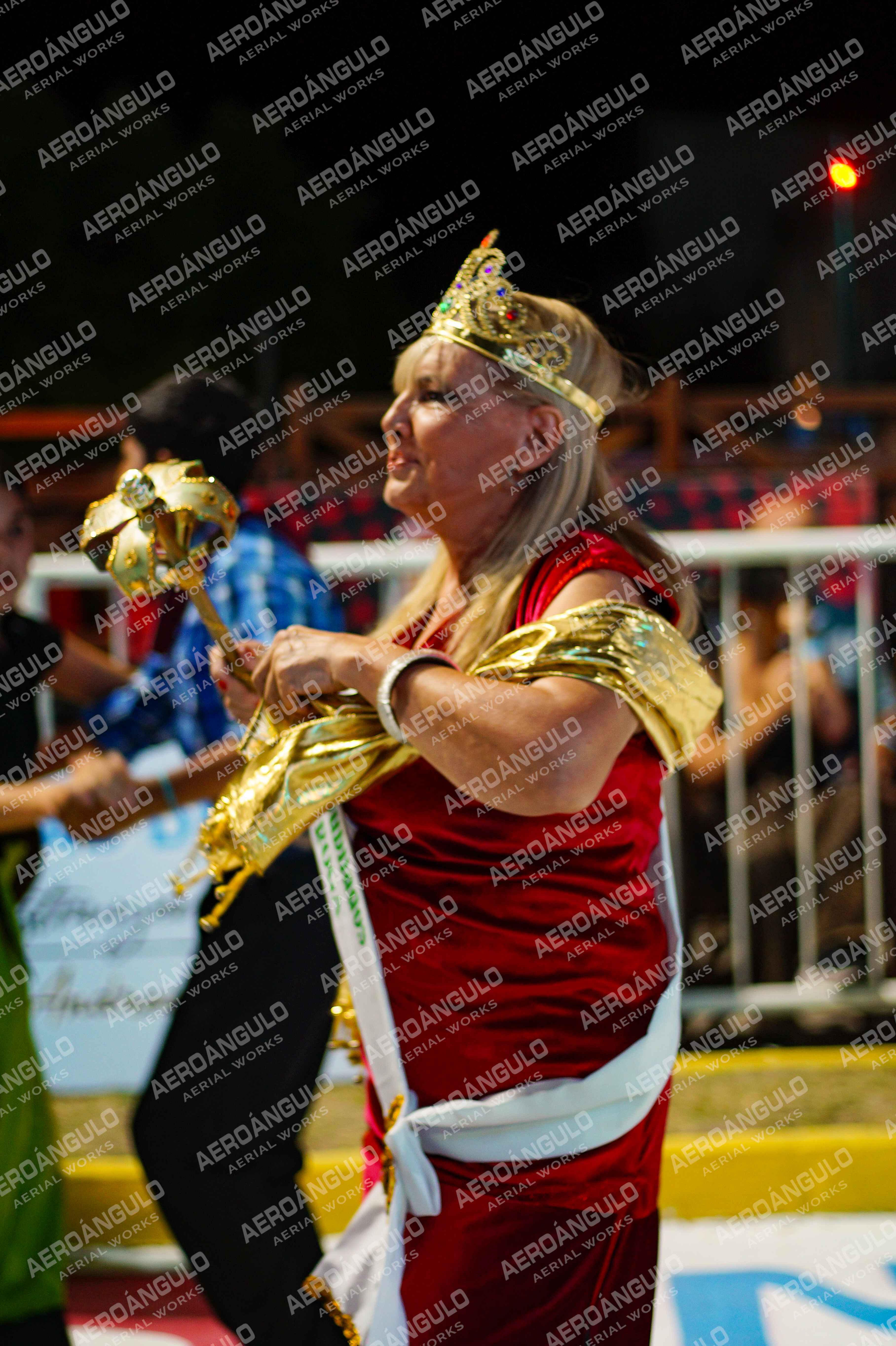 CAROCARNAVALESDIA1 N°15