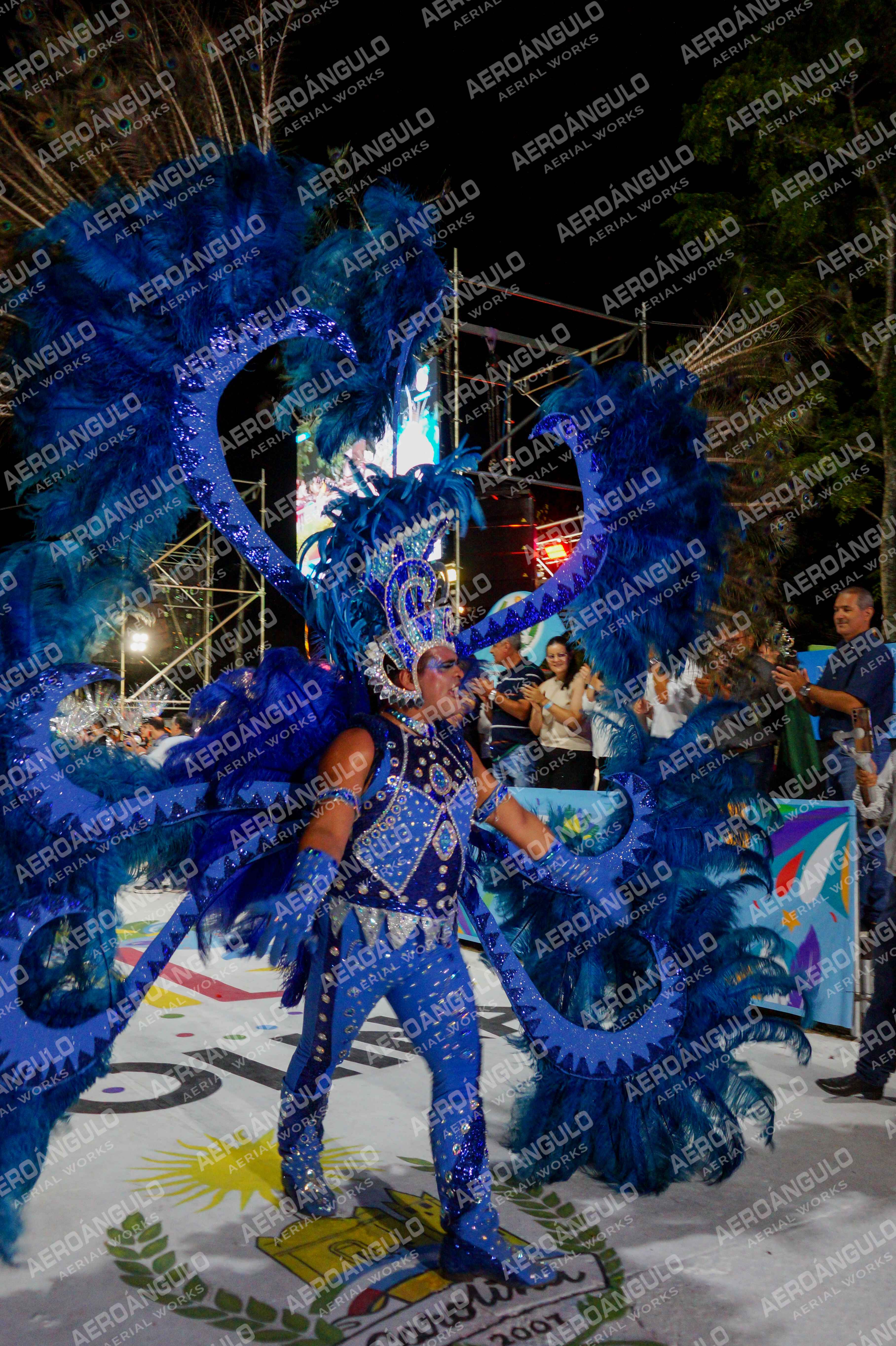 CAROCARNAVALESDIA1 N°160