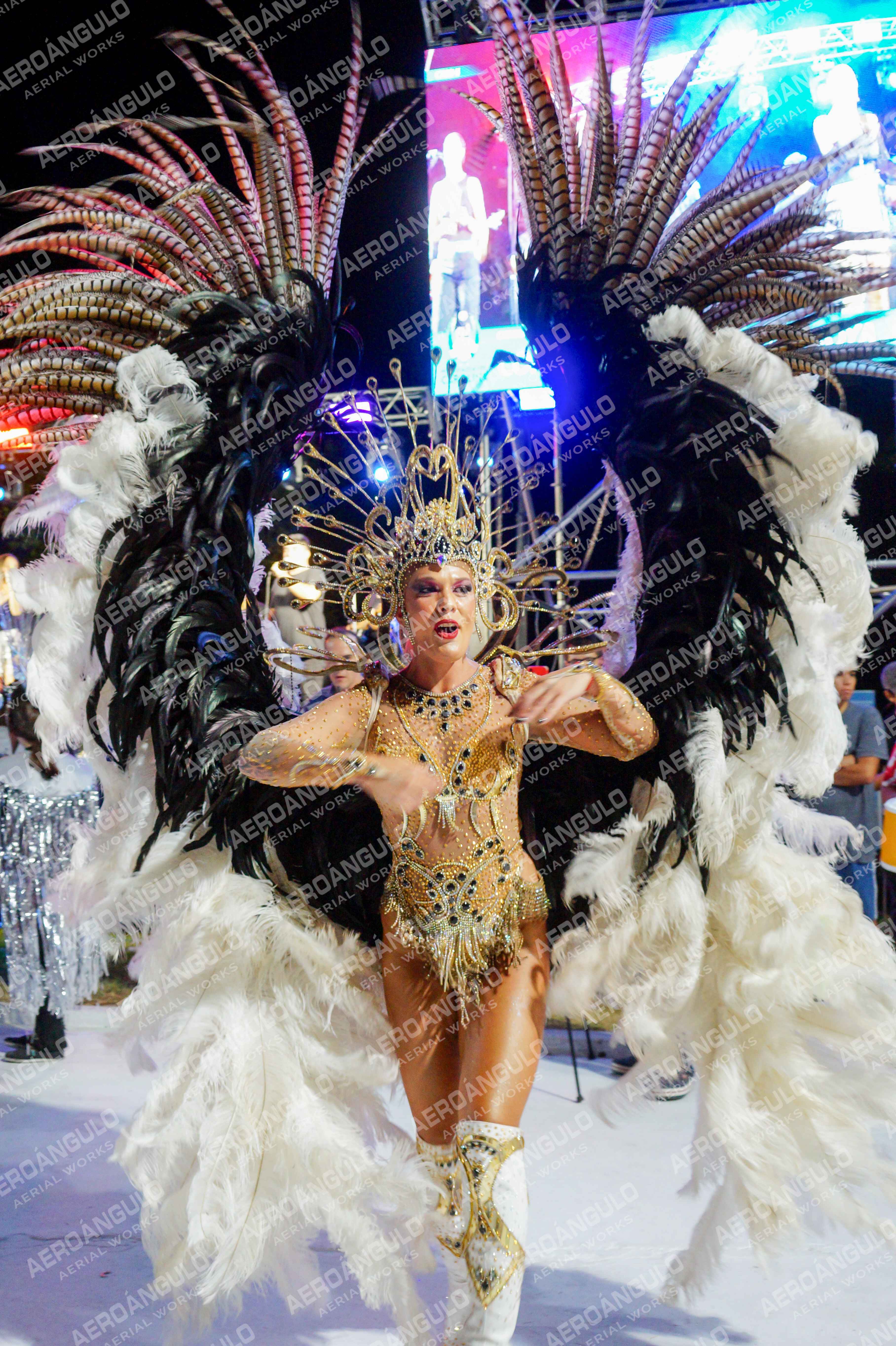 CAROCARNAVALESDIA1 N°163