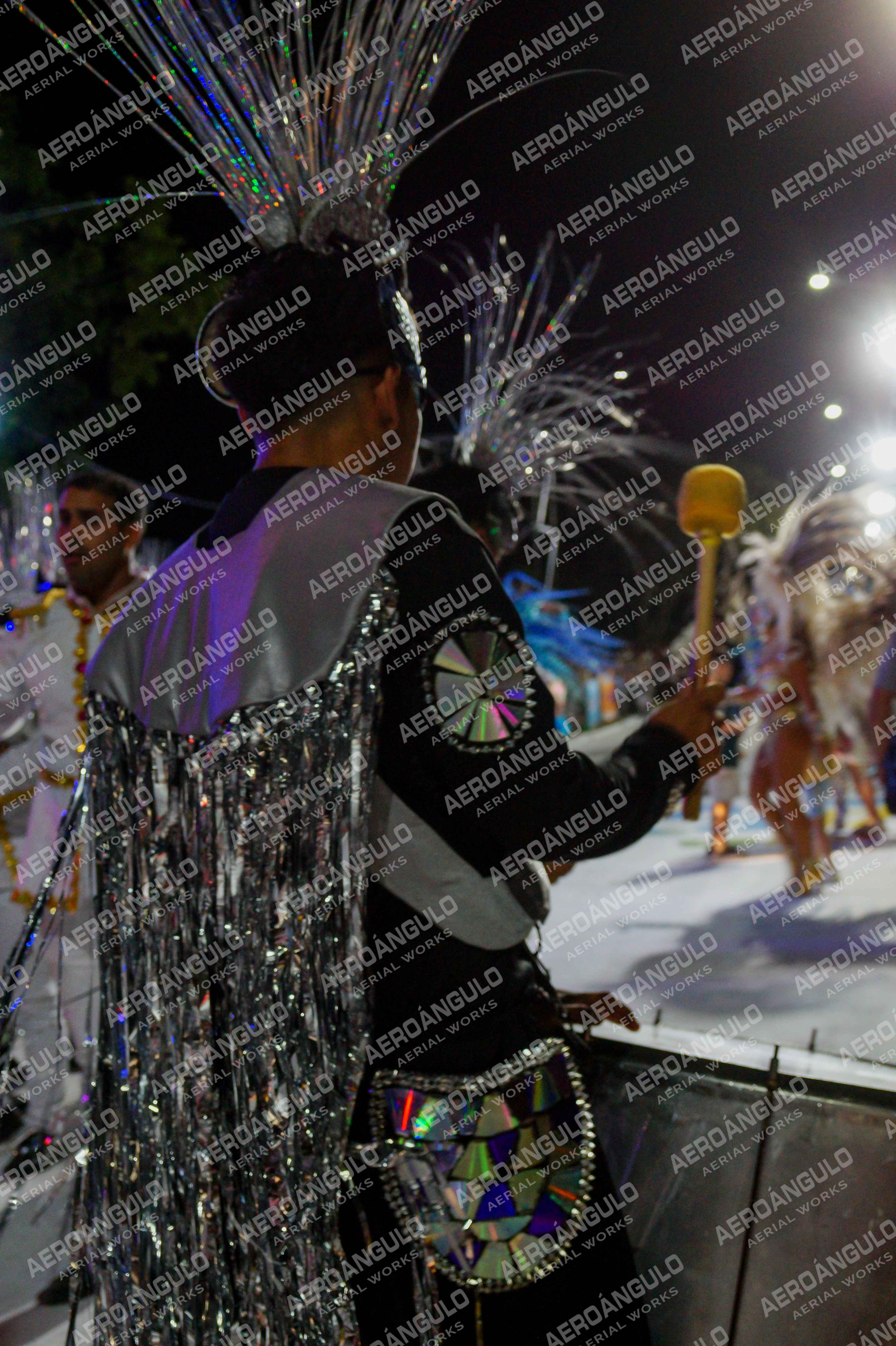 CAROCARNAVALESDIA1 N°176