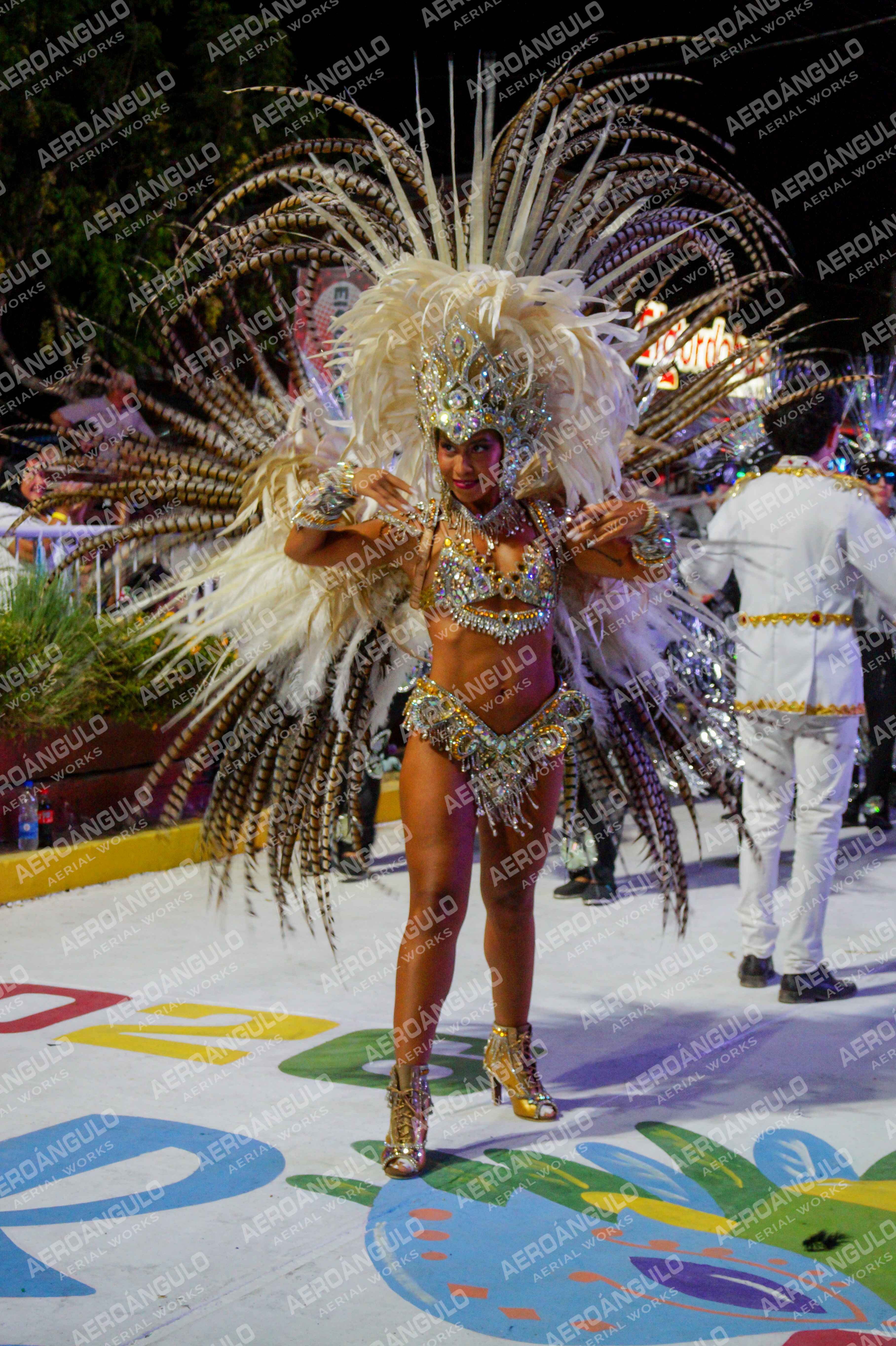 CAROCARNAVALESDIA1 N°185