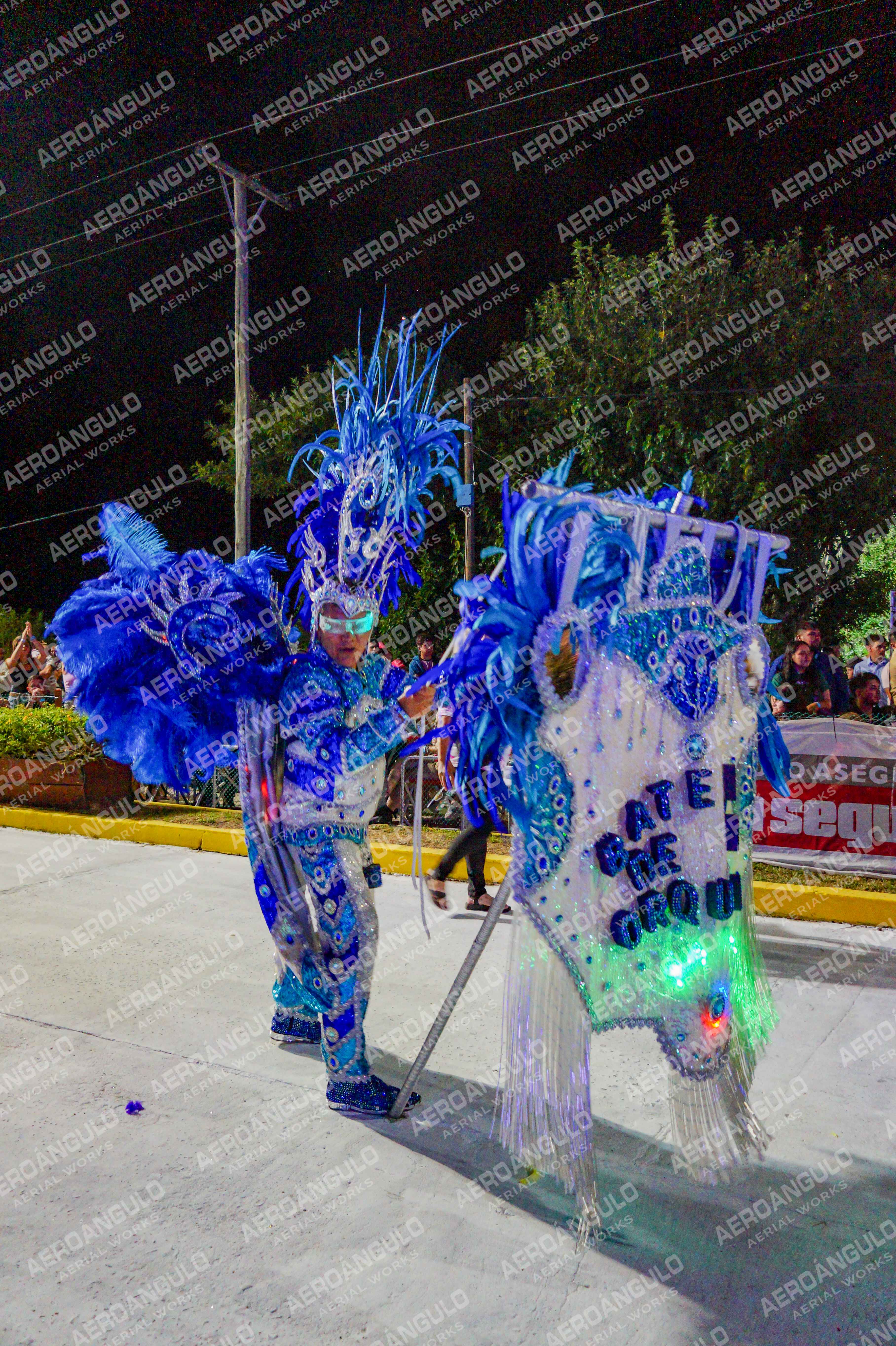 CAROCARNAVALESDIA1 N°190