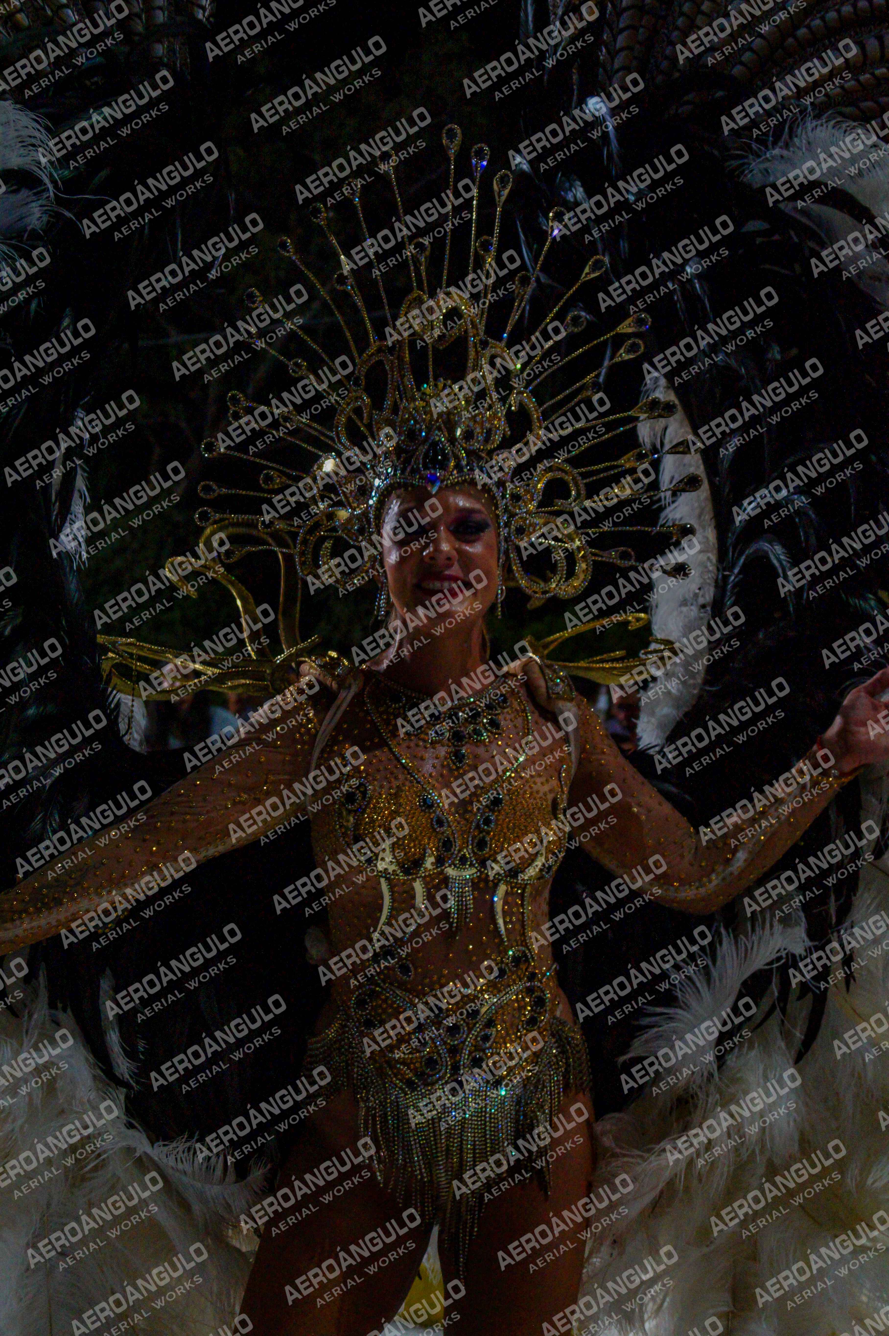CAROCARNAVALESDIA1 N°194