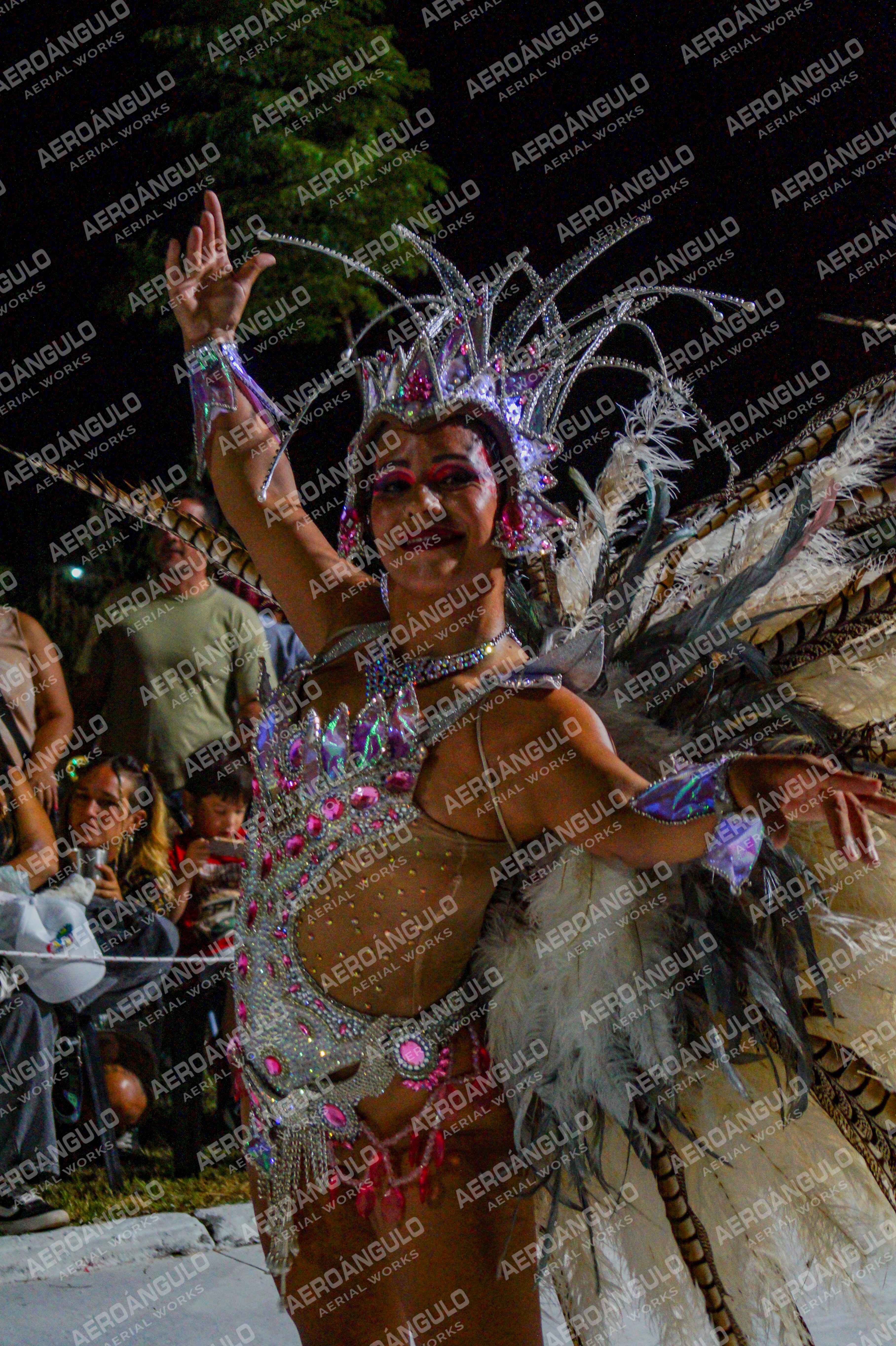 CAROCARNAVALESDIA1 N°203