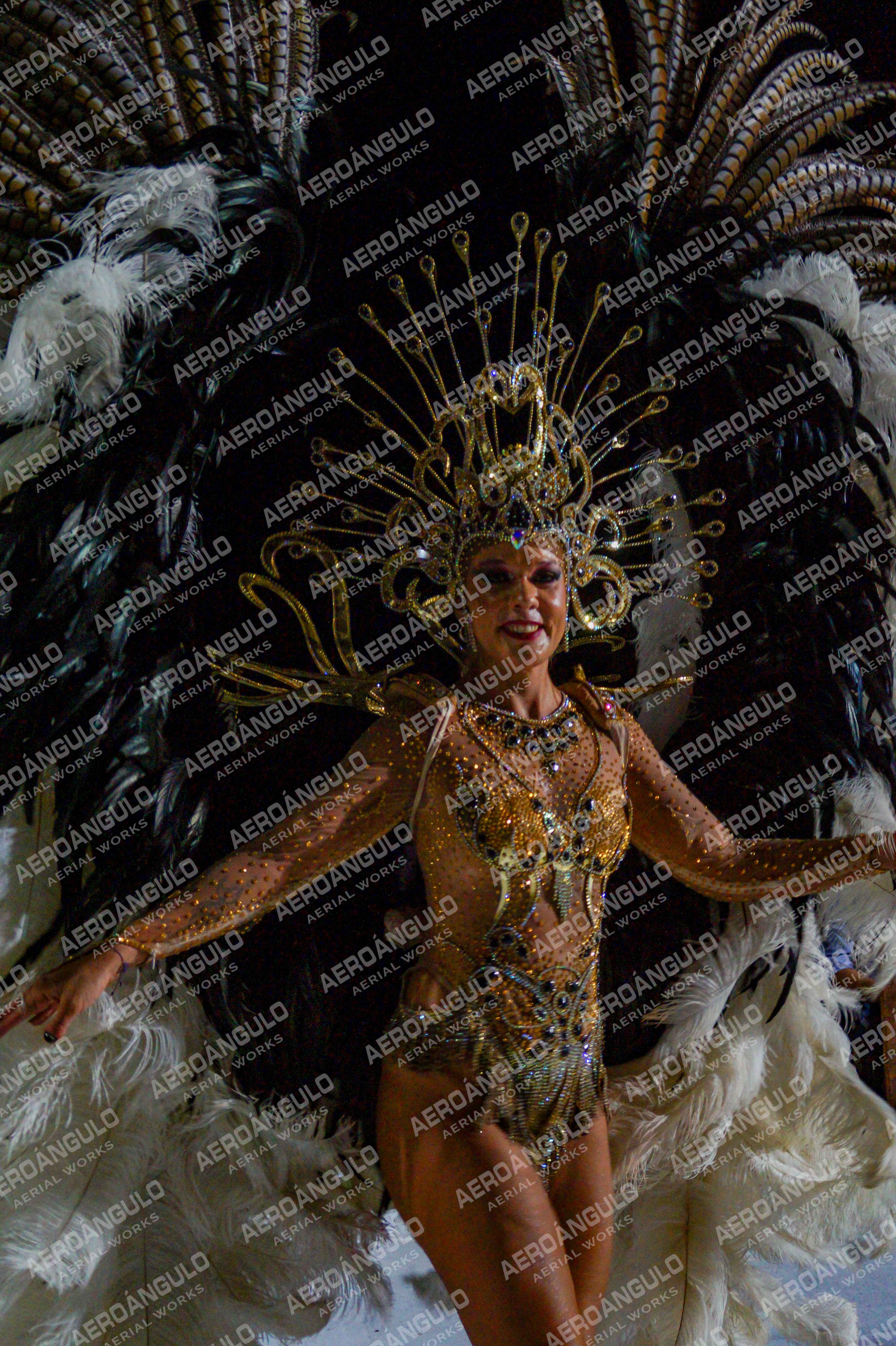 CAROCARNAVALESDIA1 N°205