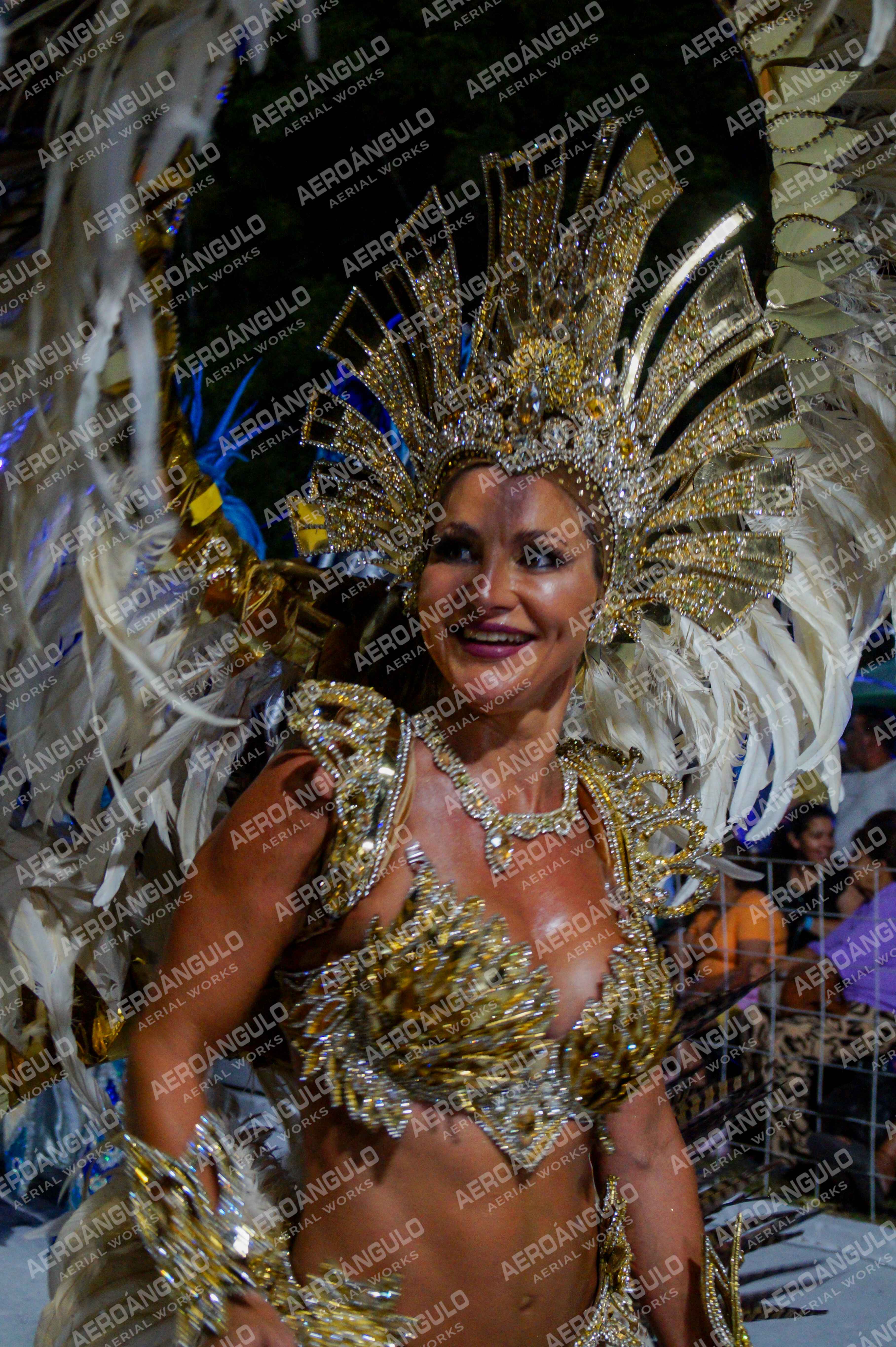 CAROCARNAVALESDIA1 N°208