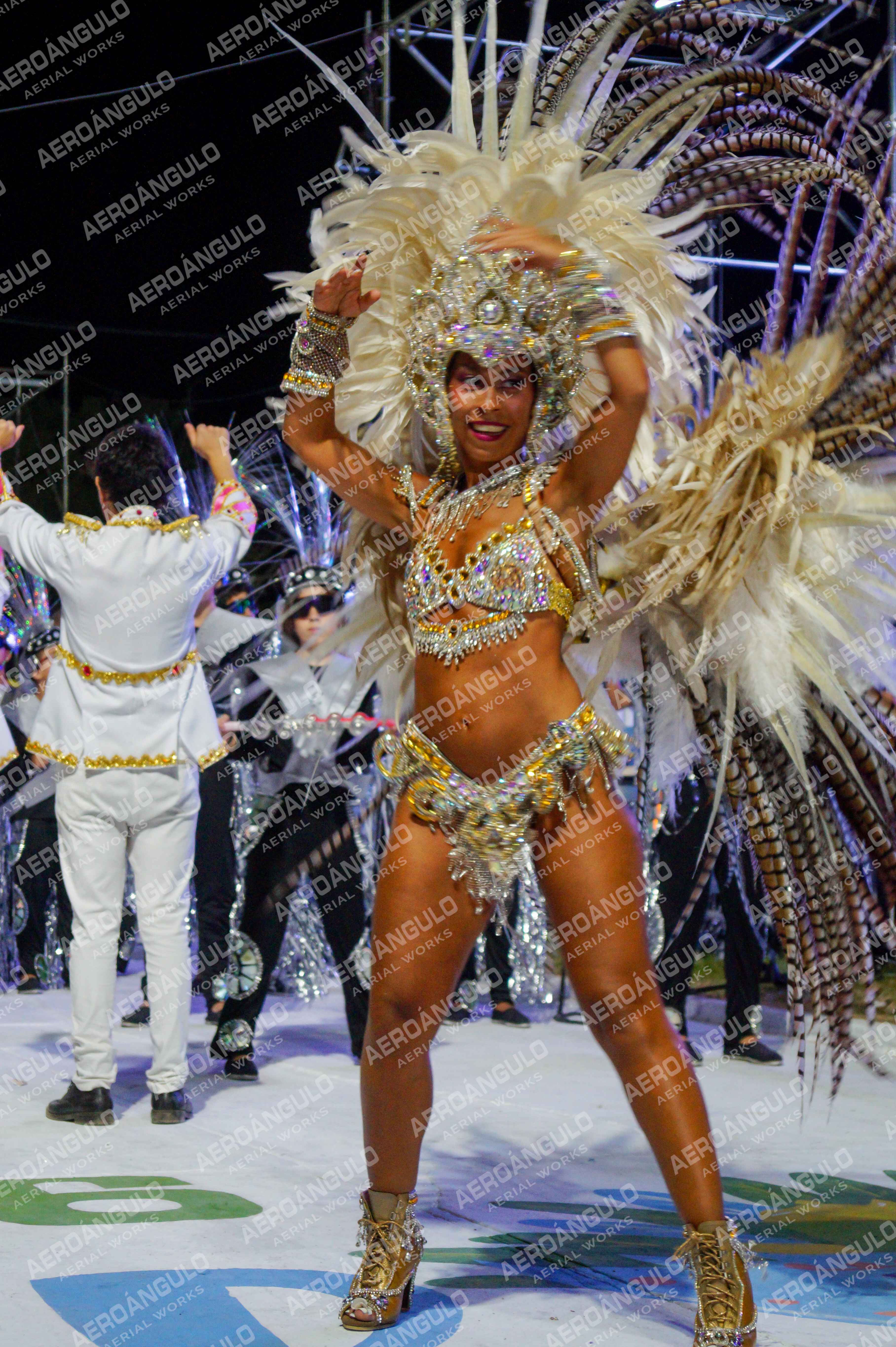 CAROCARNAVALESDIA1 N°209