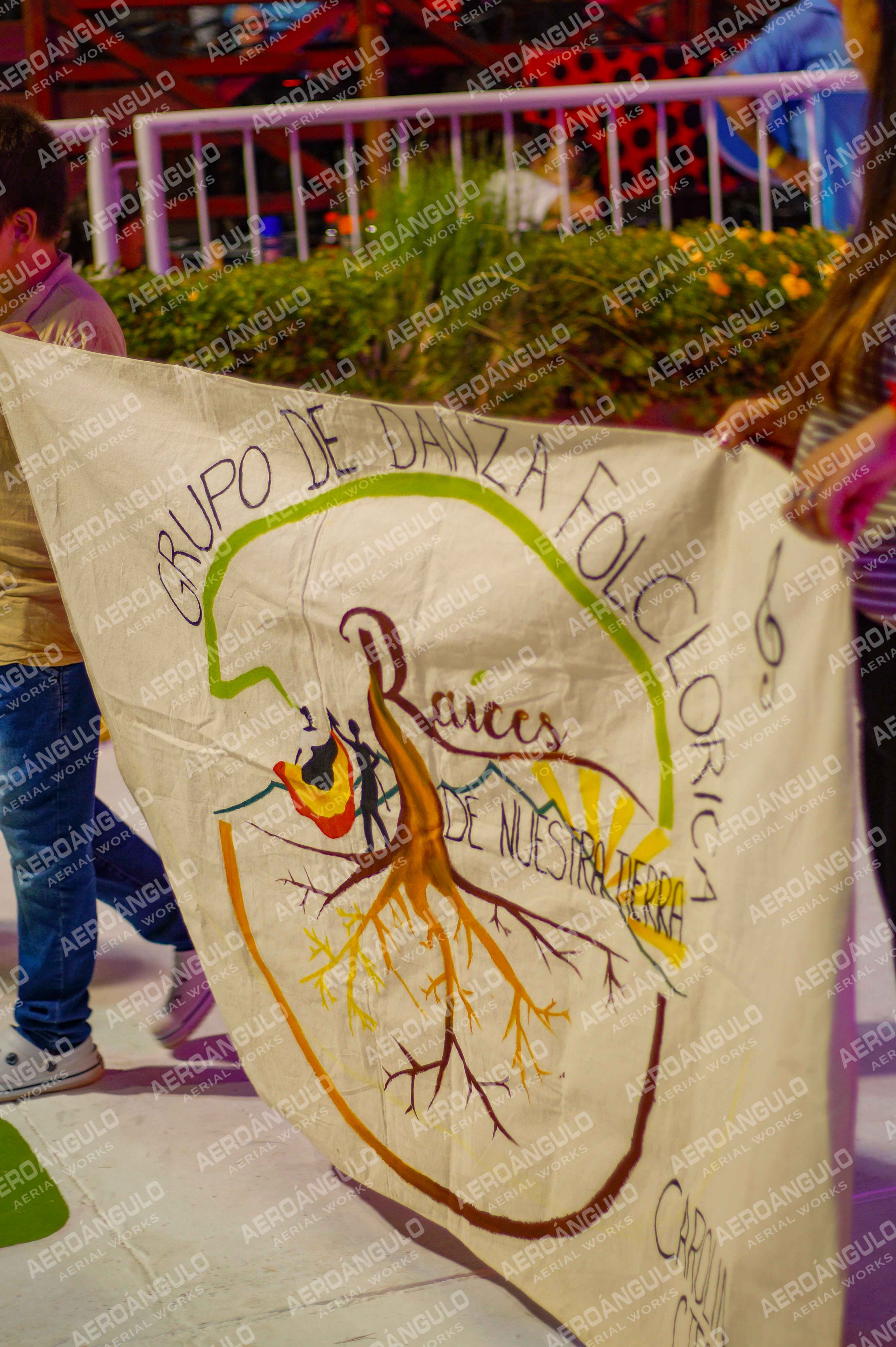 CAROCARNAVALESDIA1 N°21