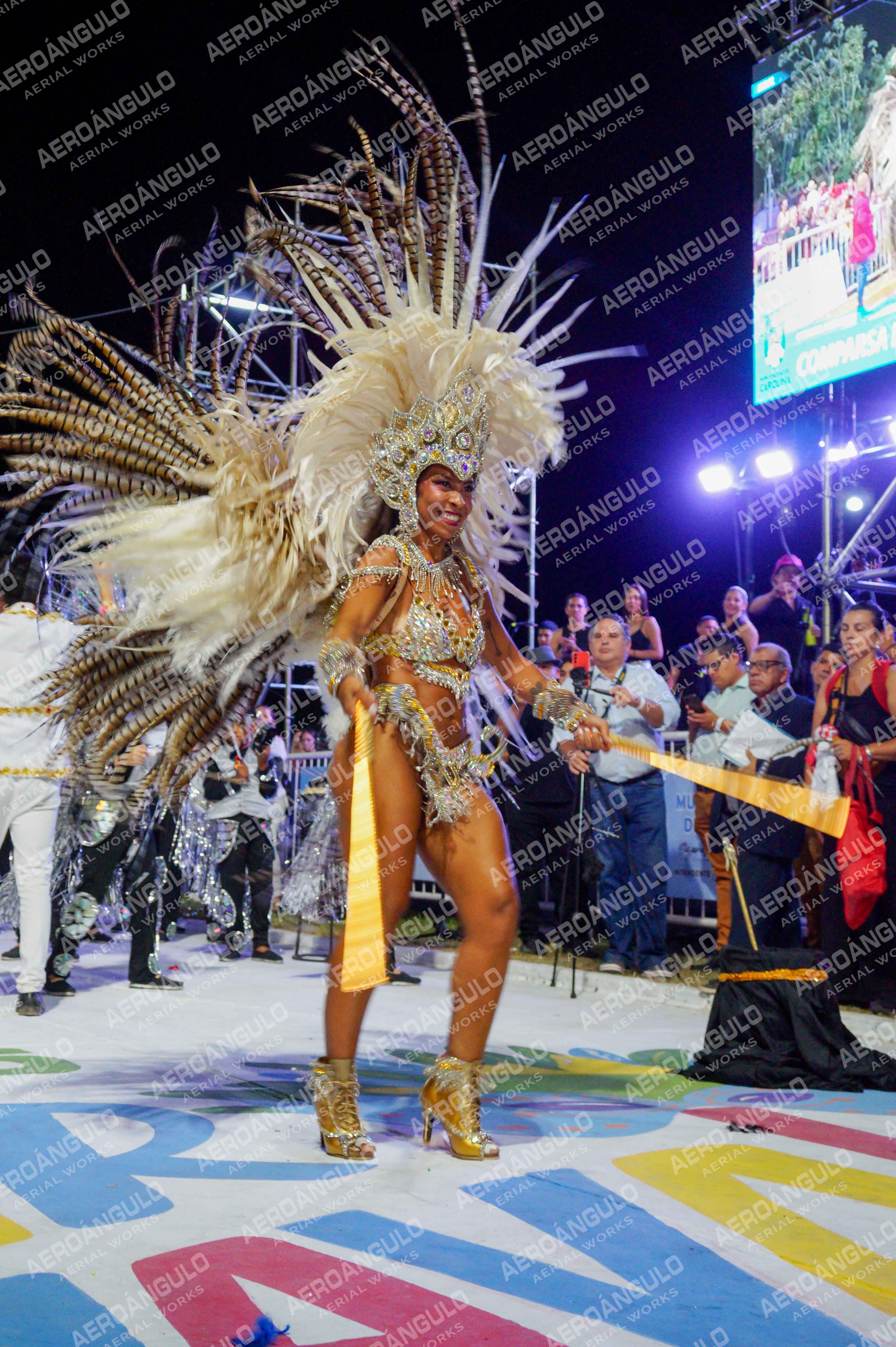 CAROCARNAVALESDIA1 N°210
