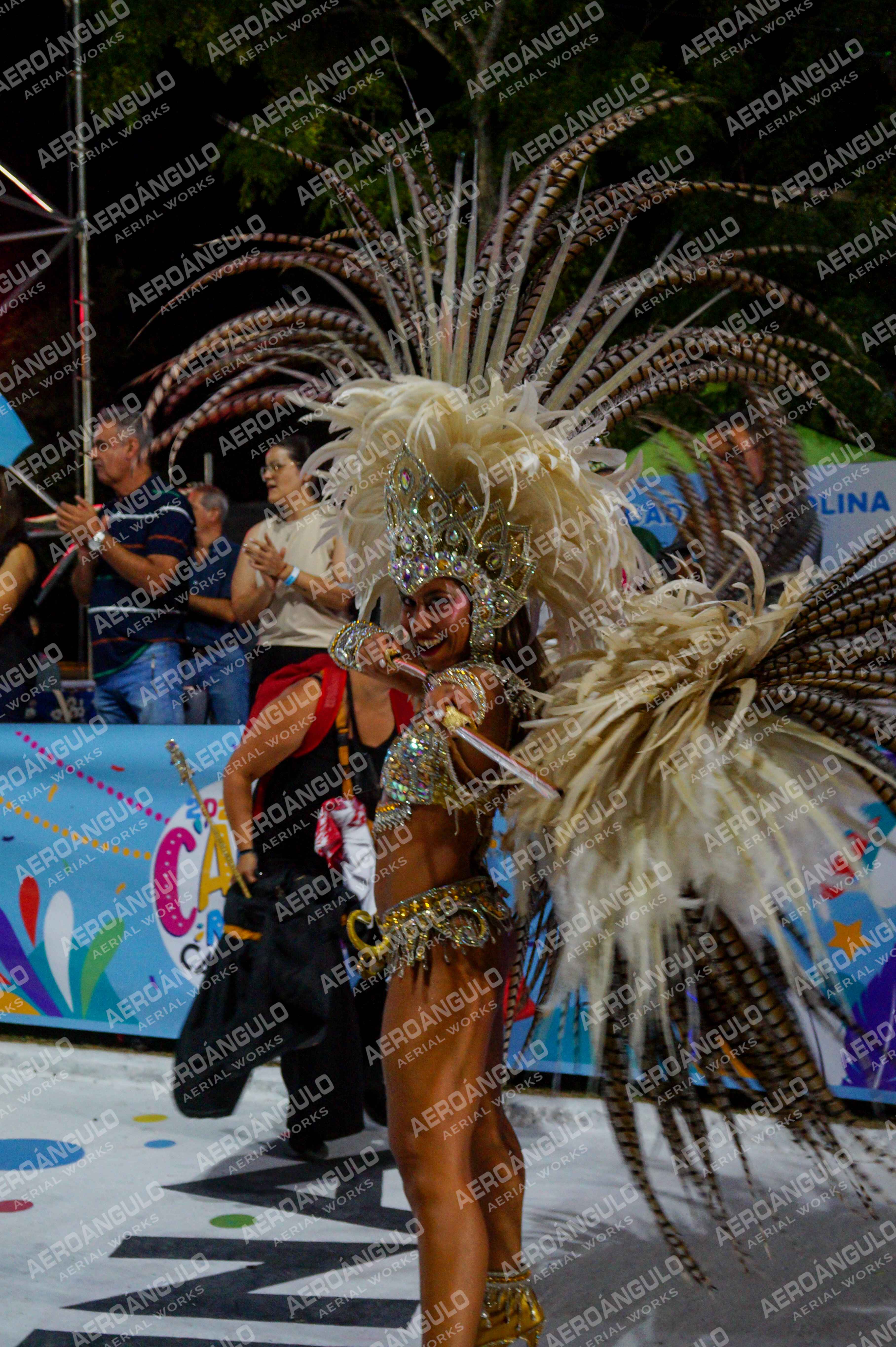 CAROCARNAVALESDIA1 N°213