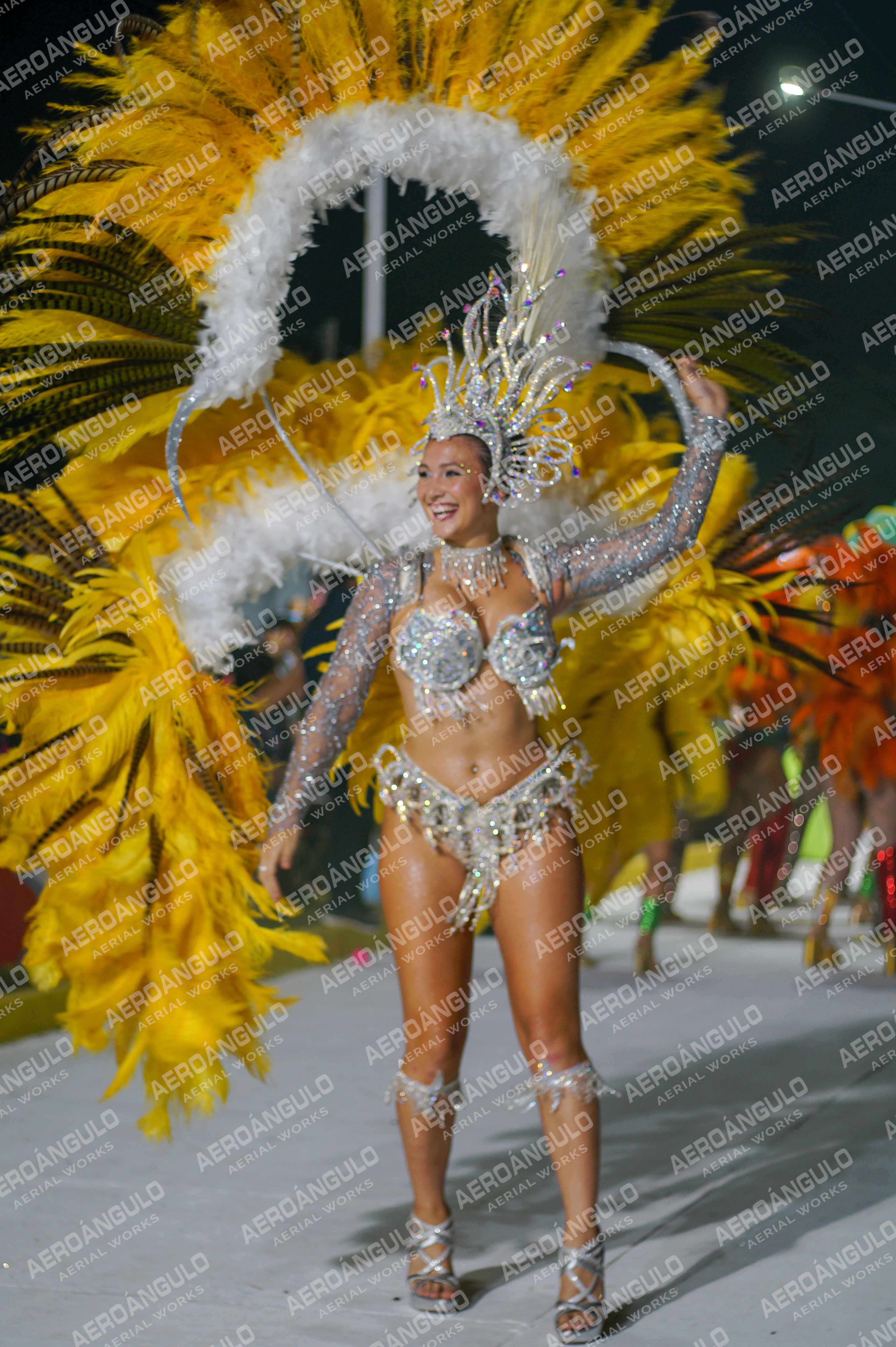 CAROCARNAVALESDIA1 N°222