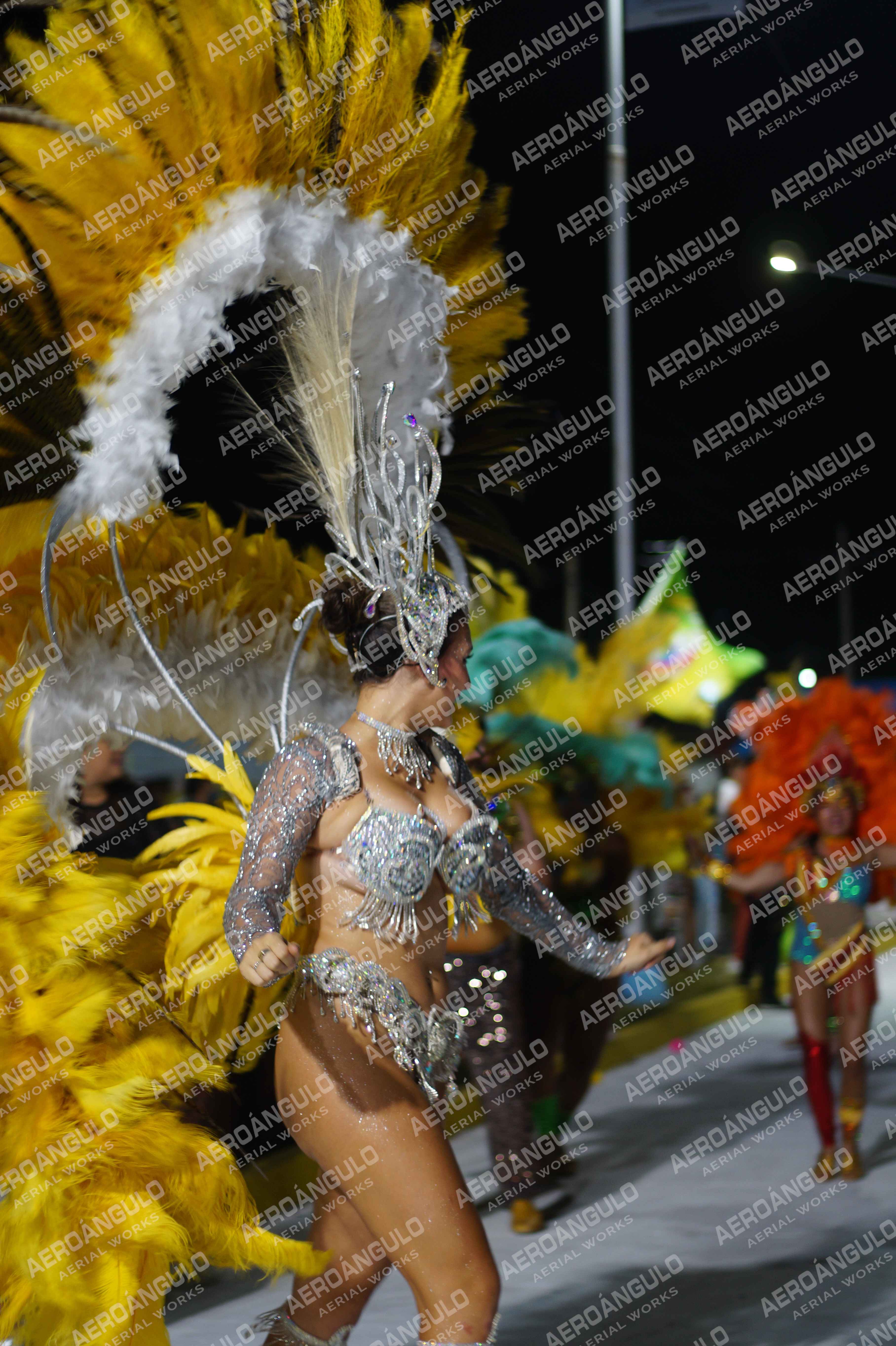 CAROCARNAVALESDIA1 N°223