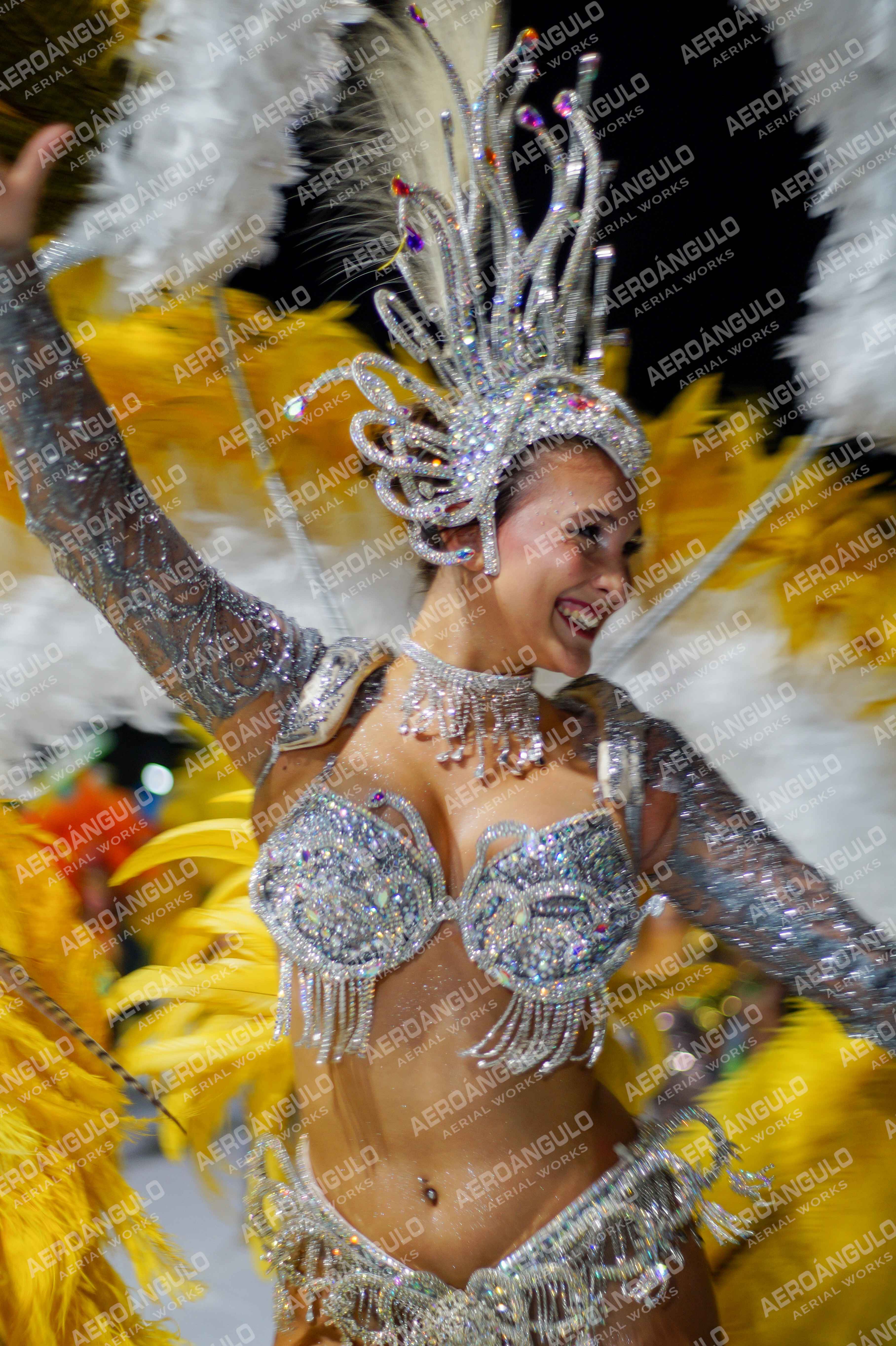 CAROCARNAVALESDIA1 N°224