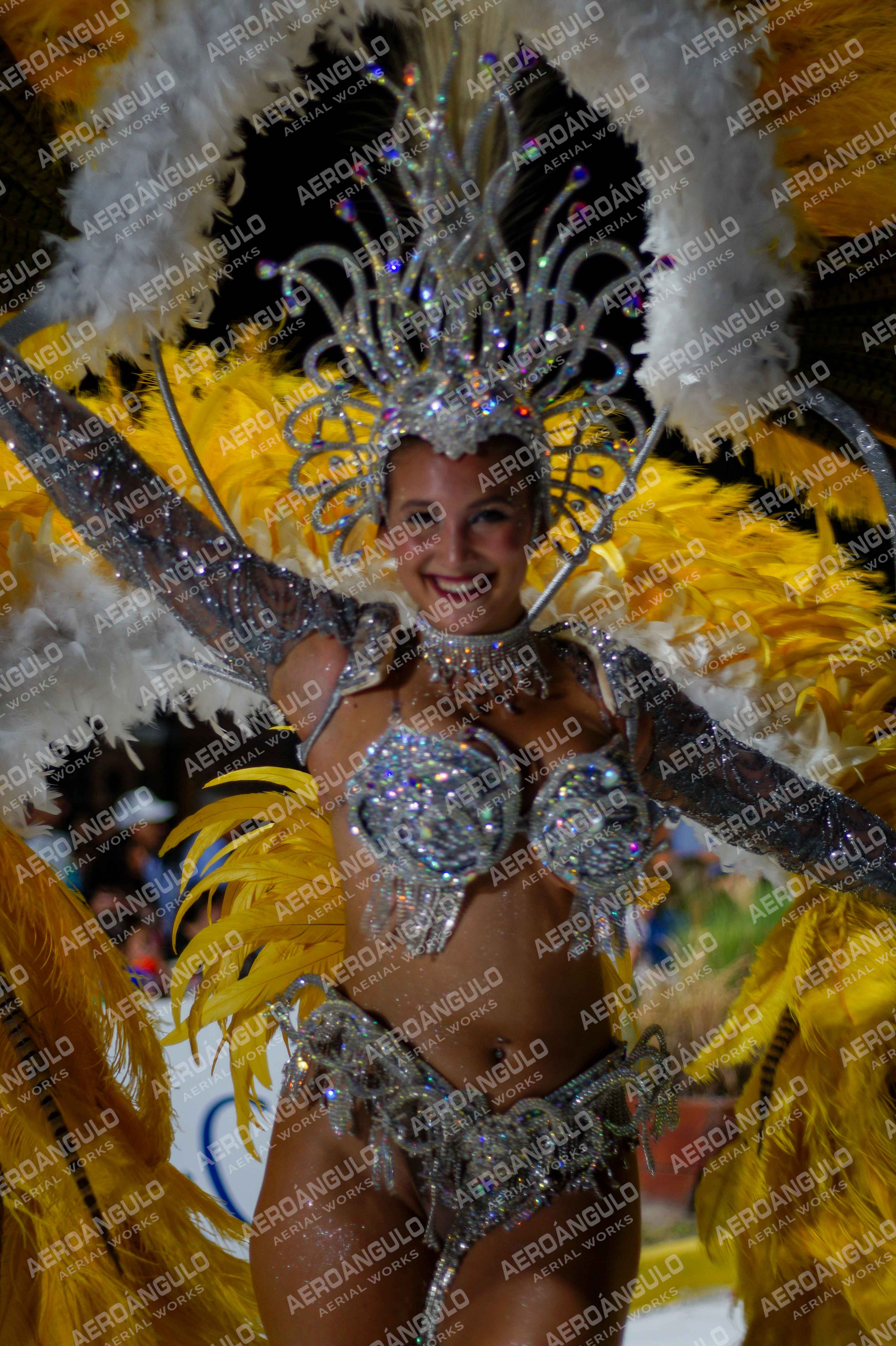 CAROCARNAVALESDIA1 N°225