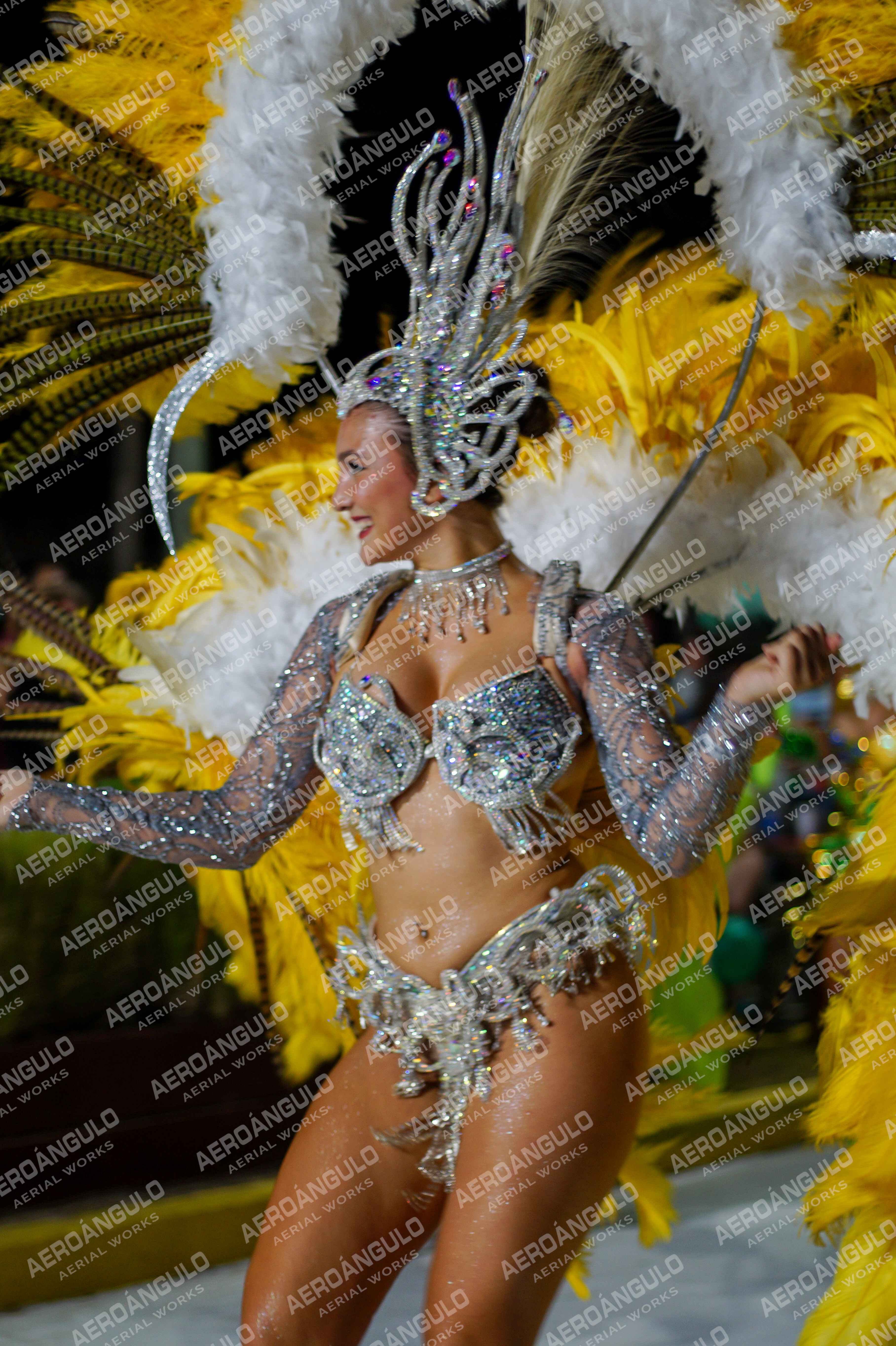 CAROCARNAVALESDIA1 N°226
