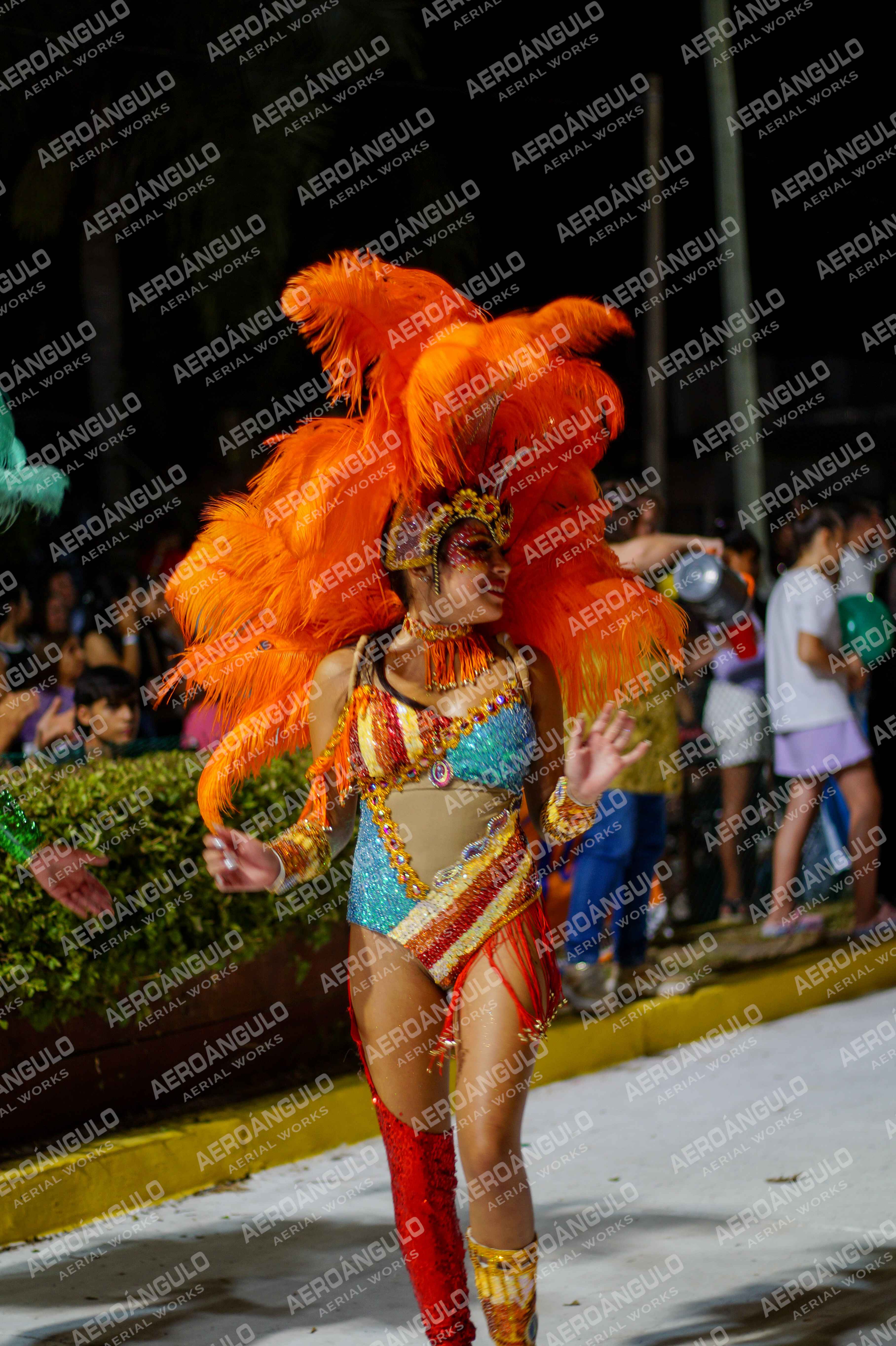 CAROCARNAVALESDIA1 N°227