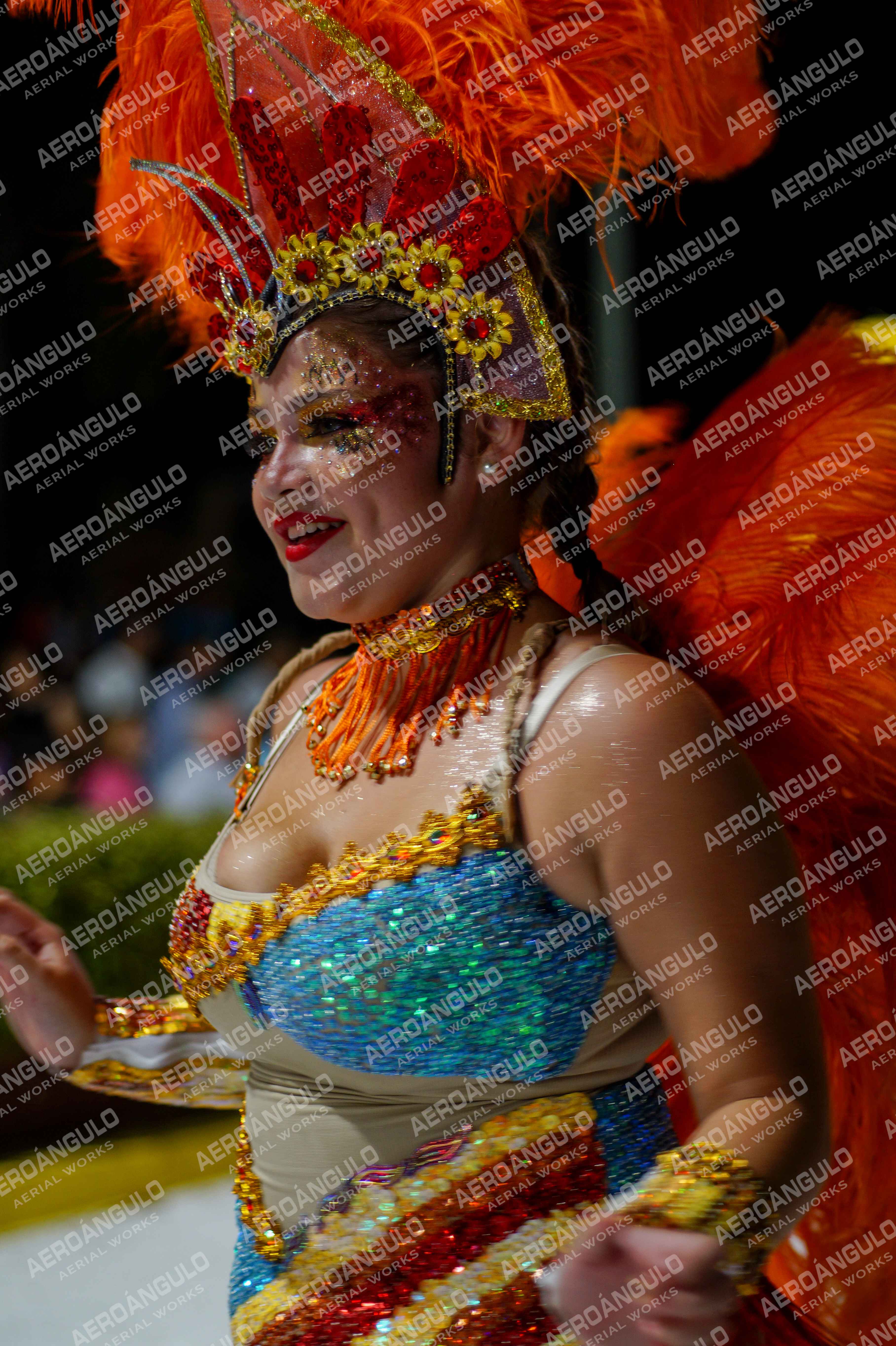 CAROCARNAVALESDIA1 N°228