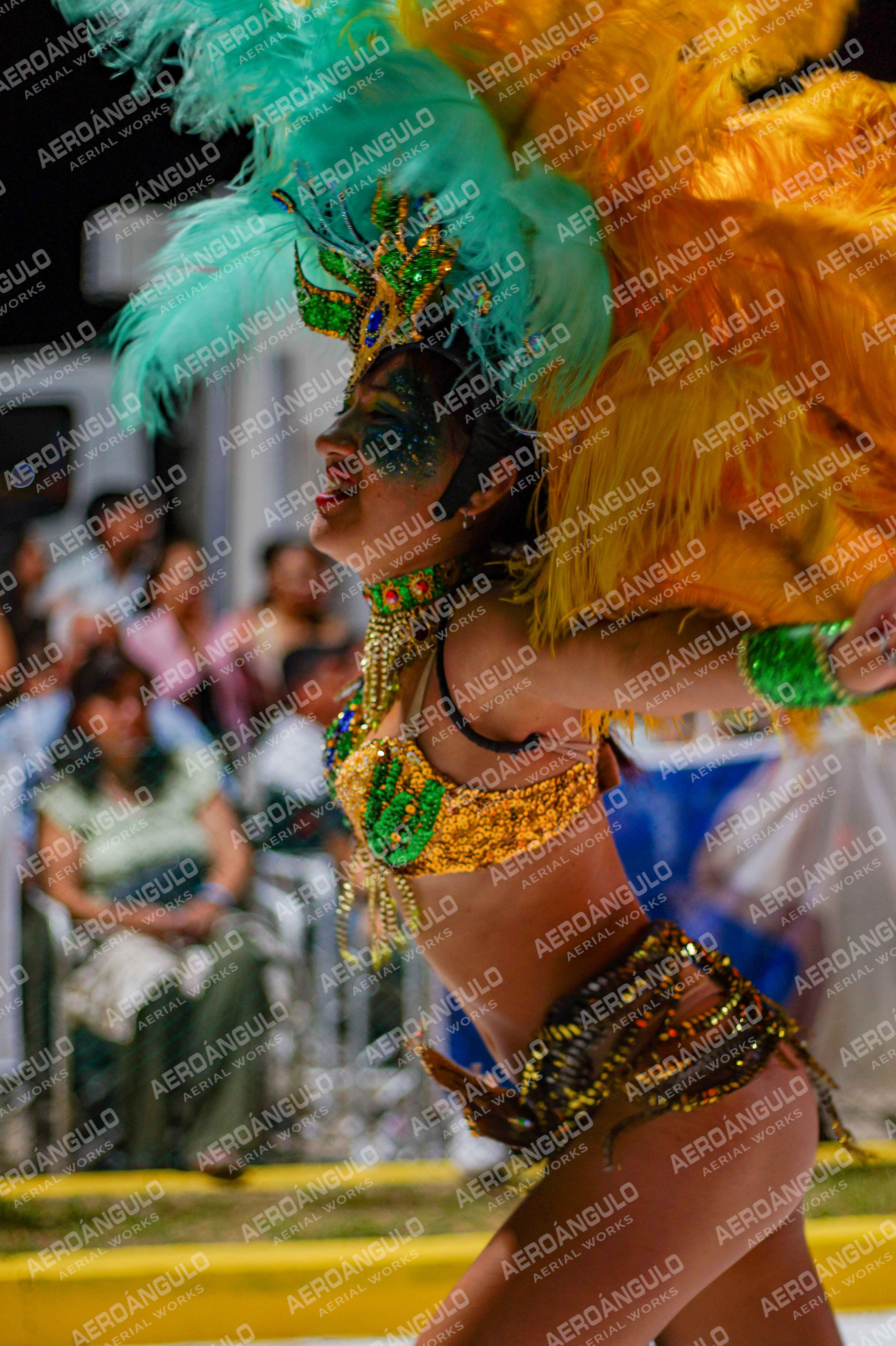 CAROCARNAVALESDIA1 N°229