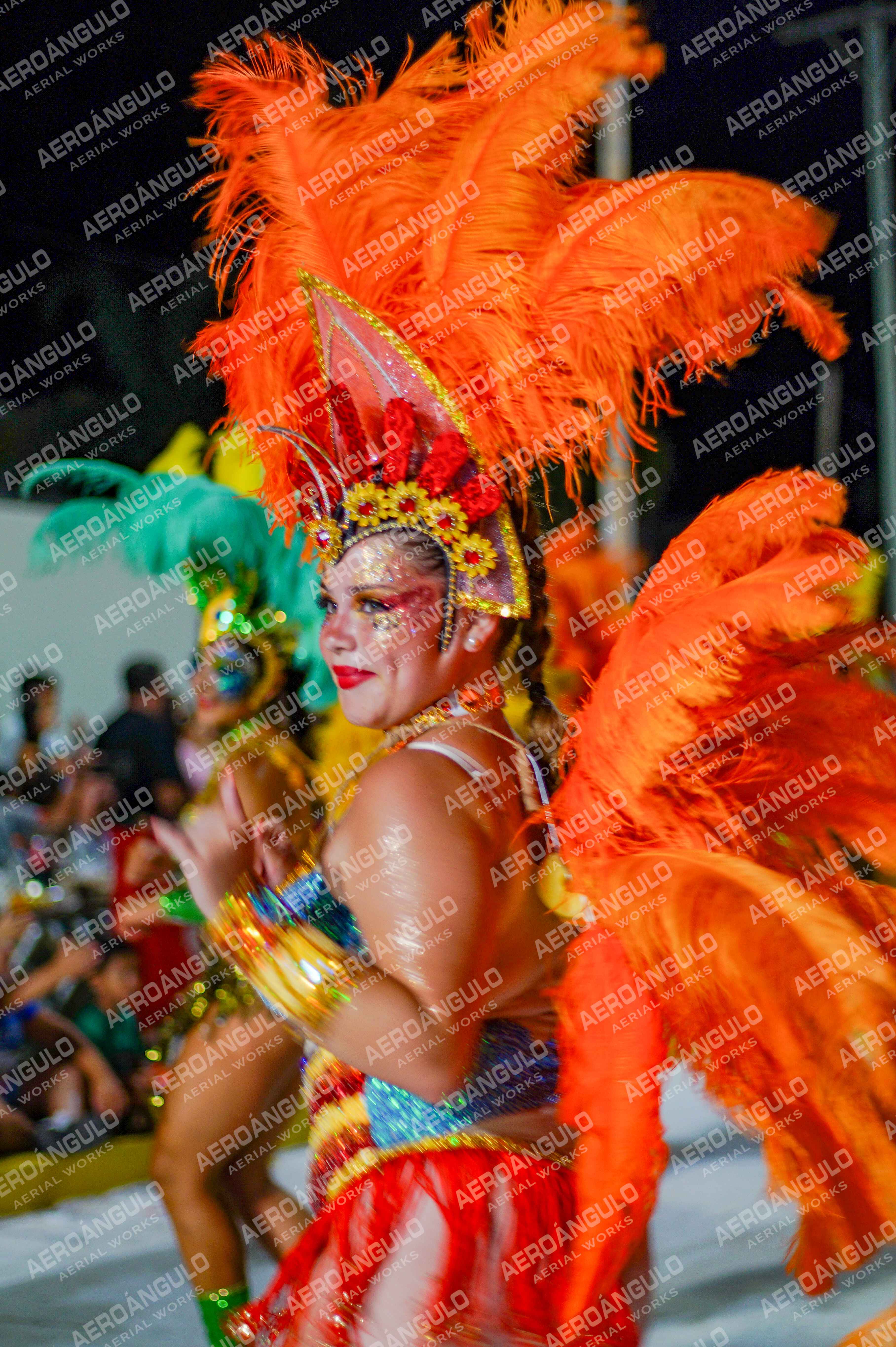 CAROCARNAVALESDIA1 N°230