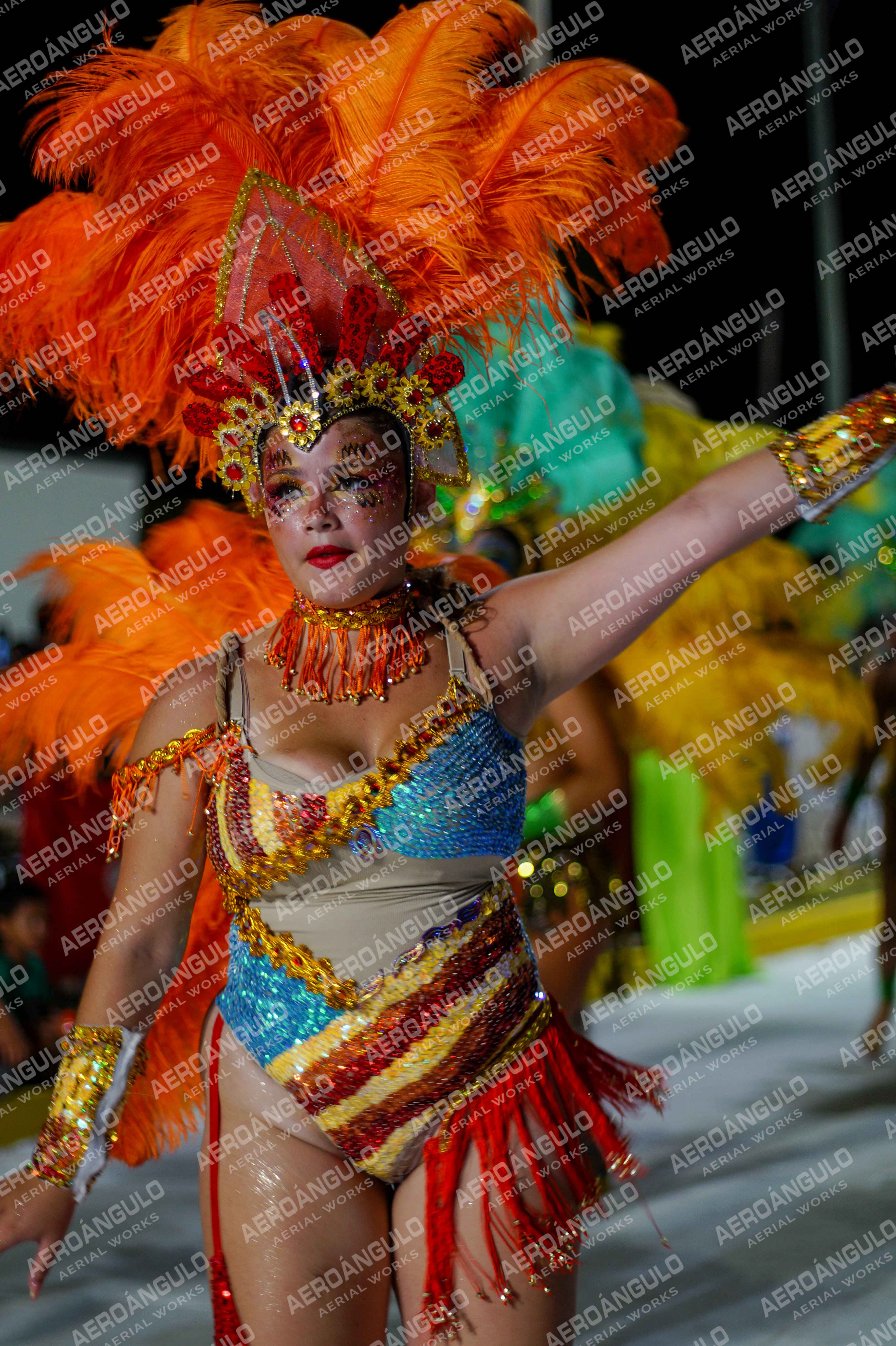 CAROCARNAVALESDIA1 N°231