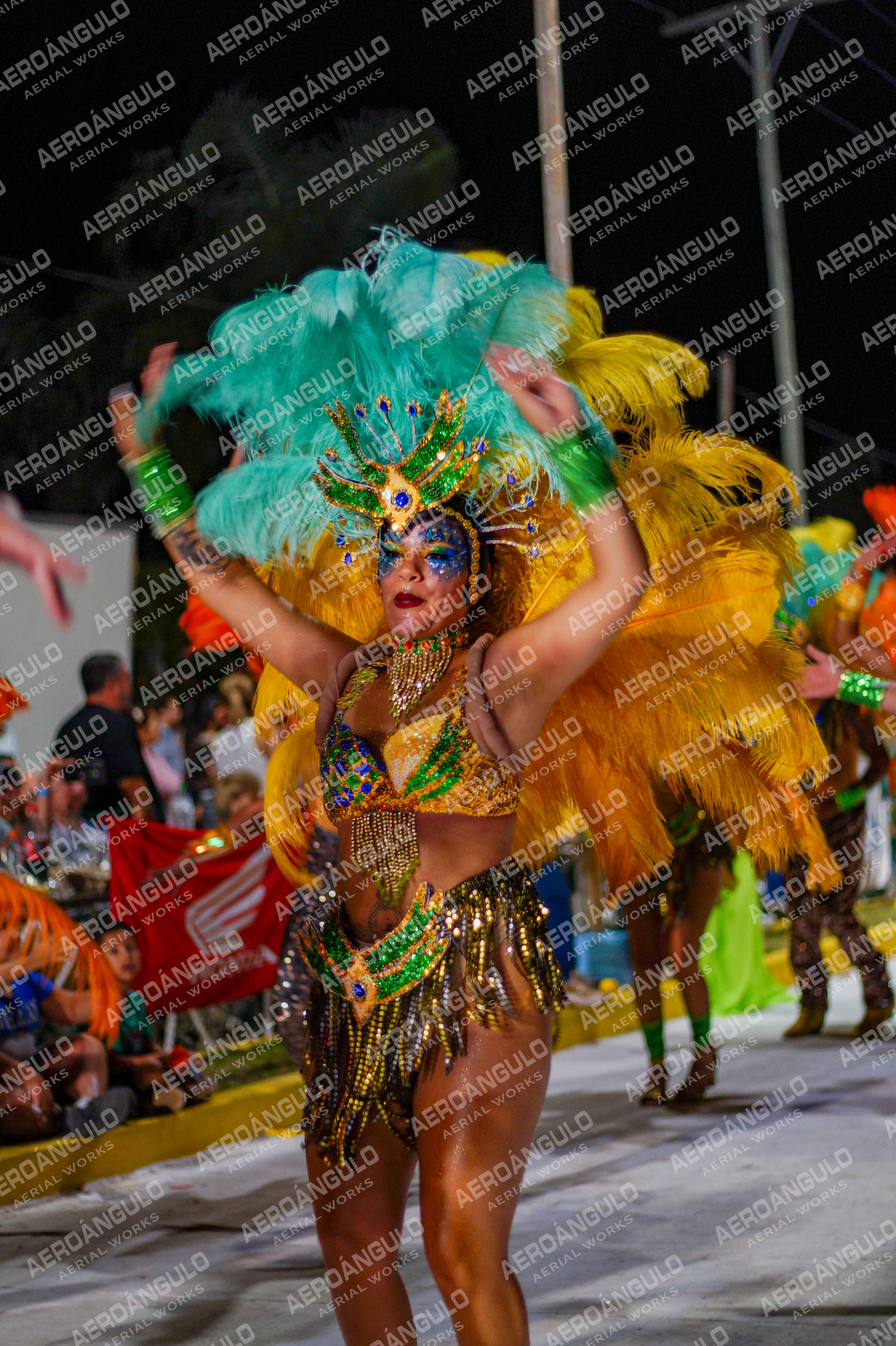 CAROCARNAVALESDIA1 N°232