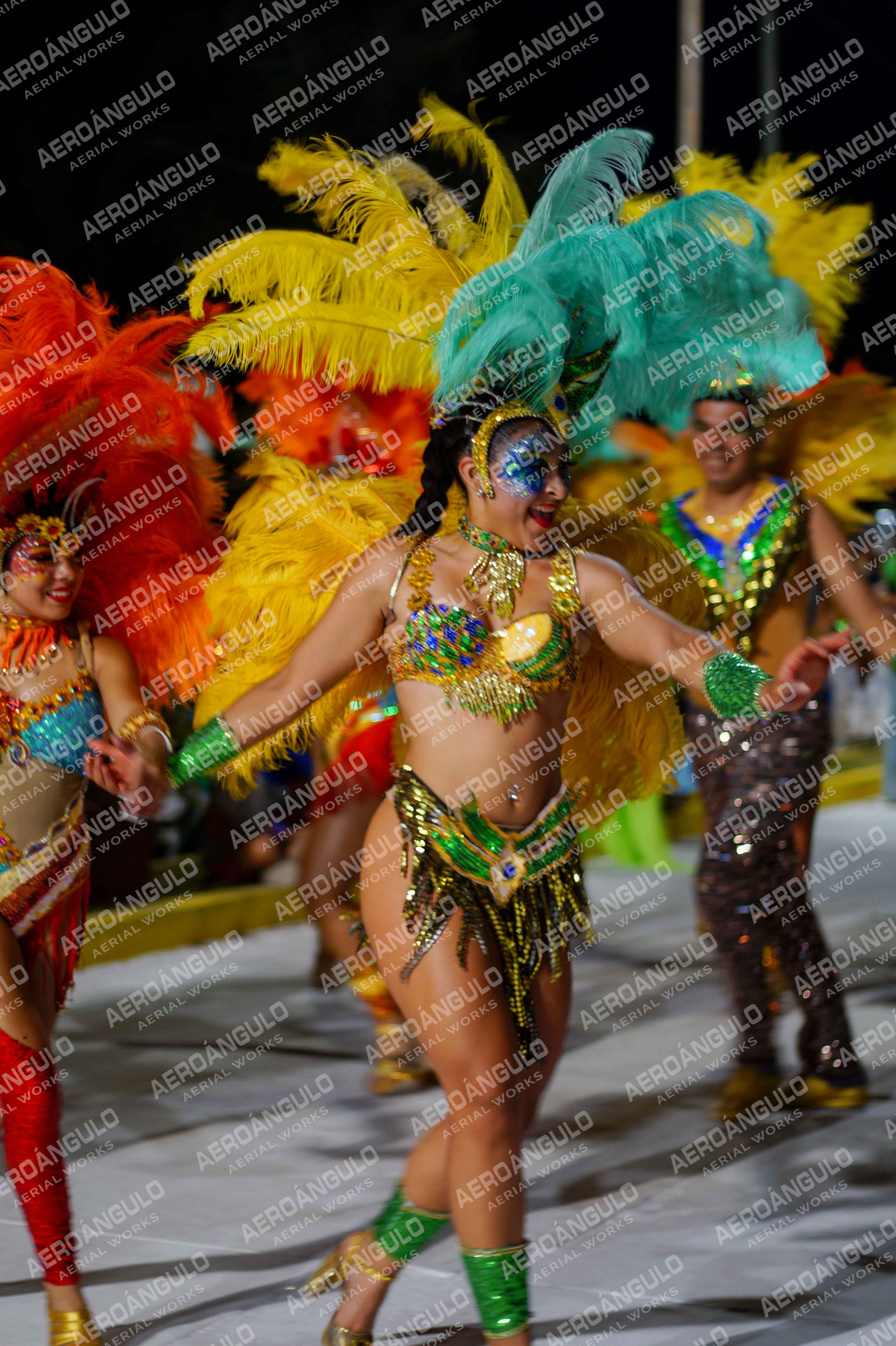CAROCARNAVALESDIA1 N°233