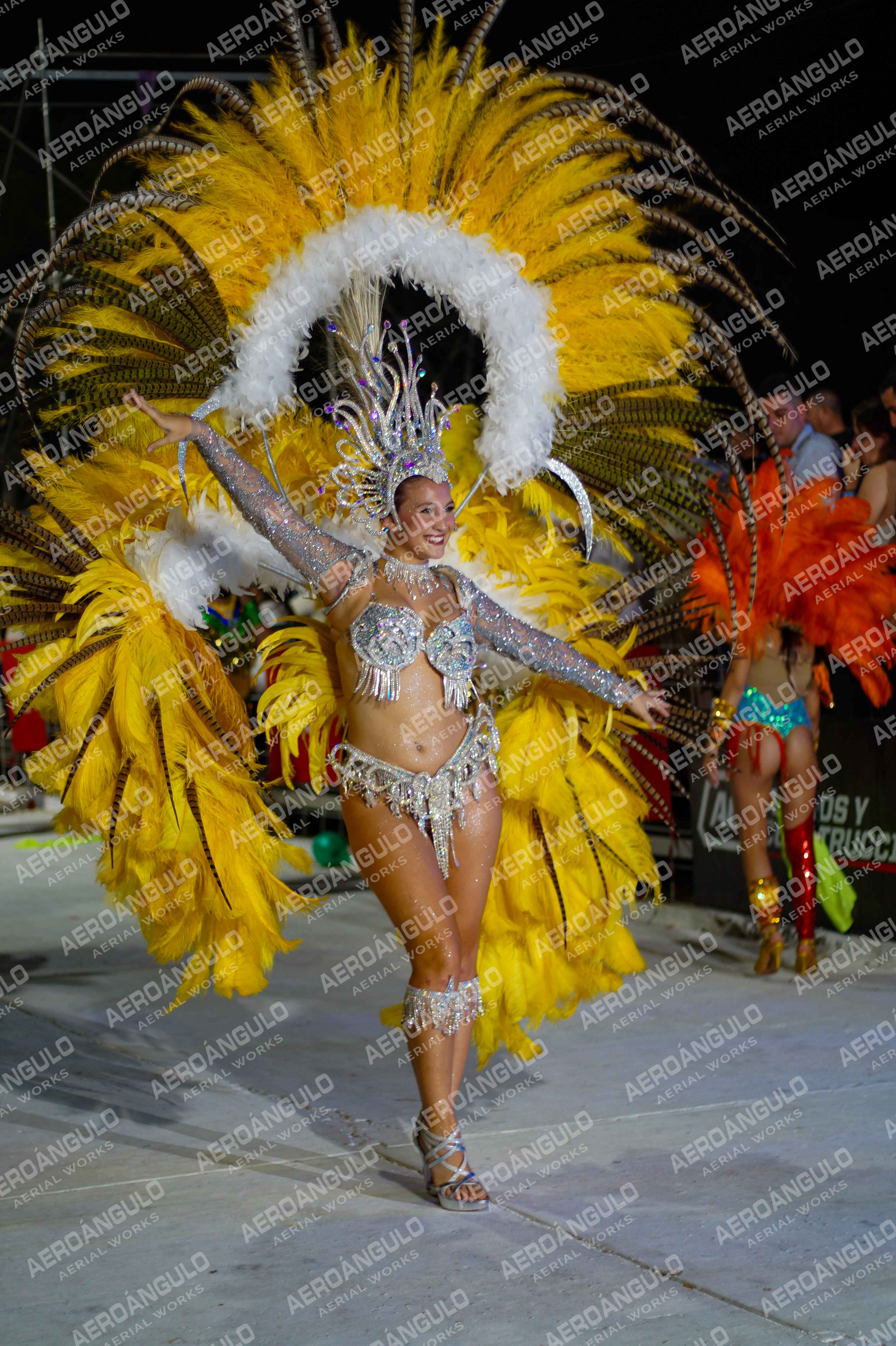 CAROCARNAVALESDIA1 N°234