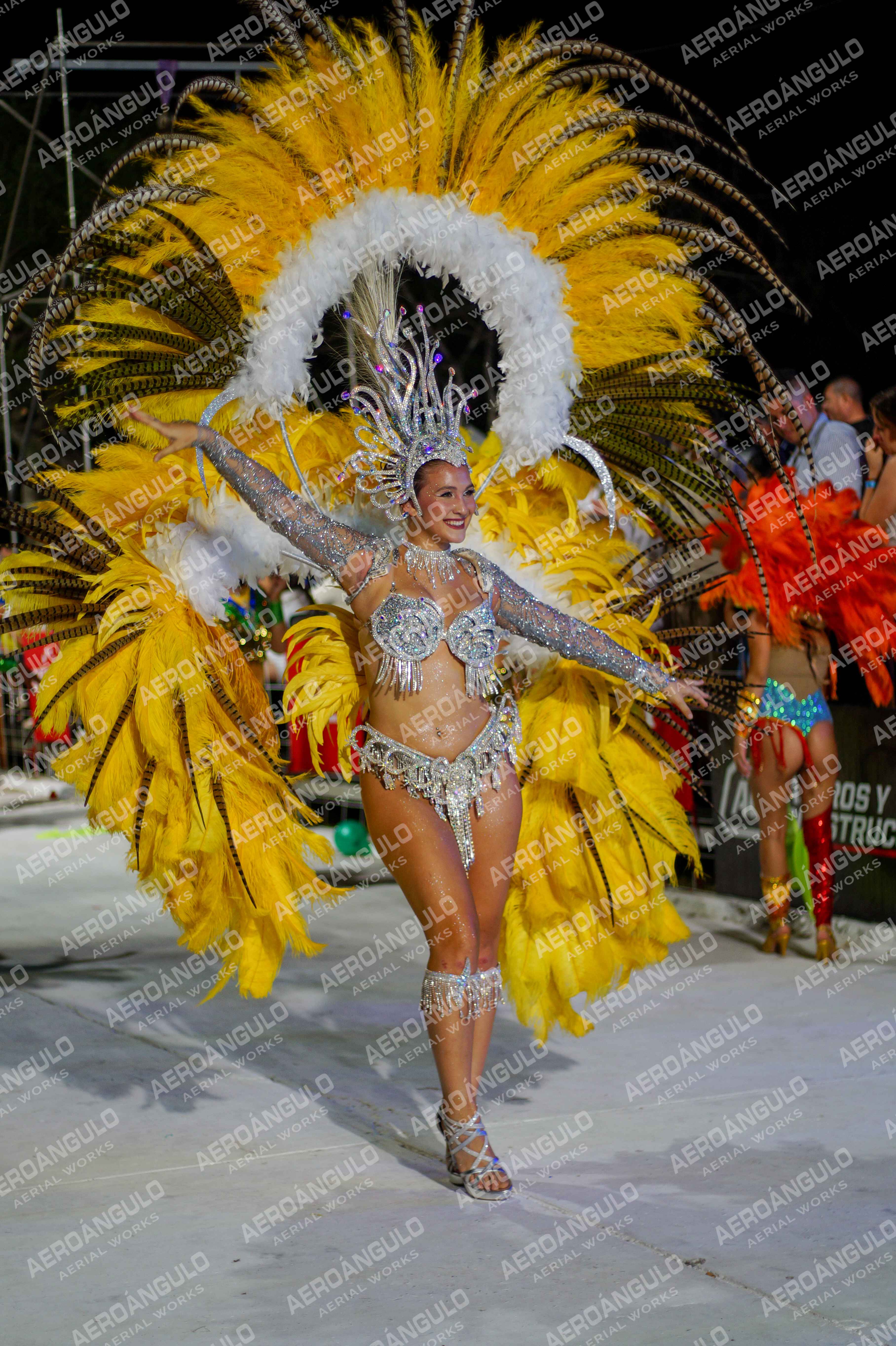 CAROCARNAVALESDIA1 N°235