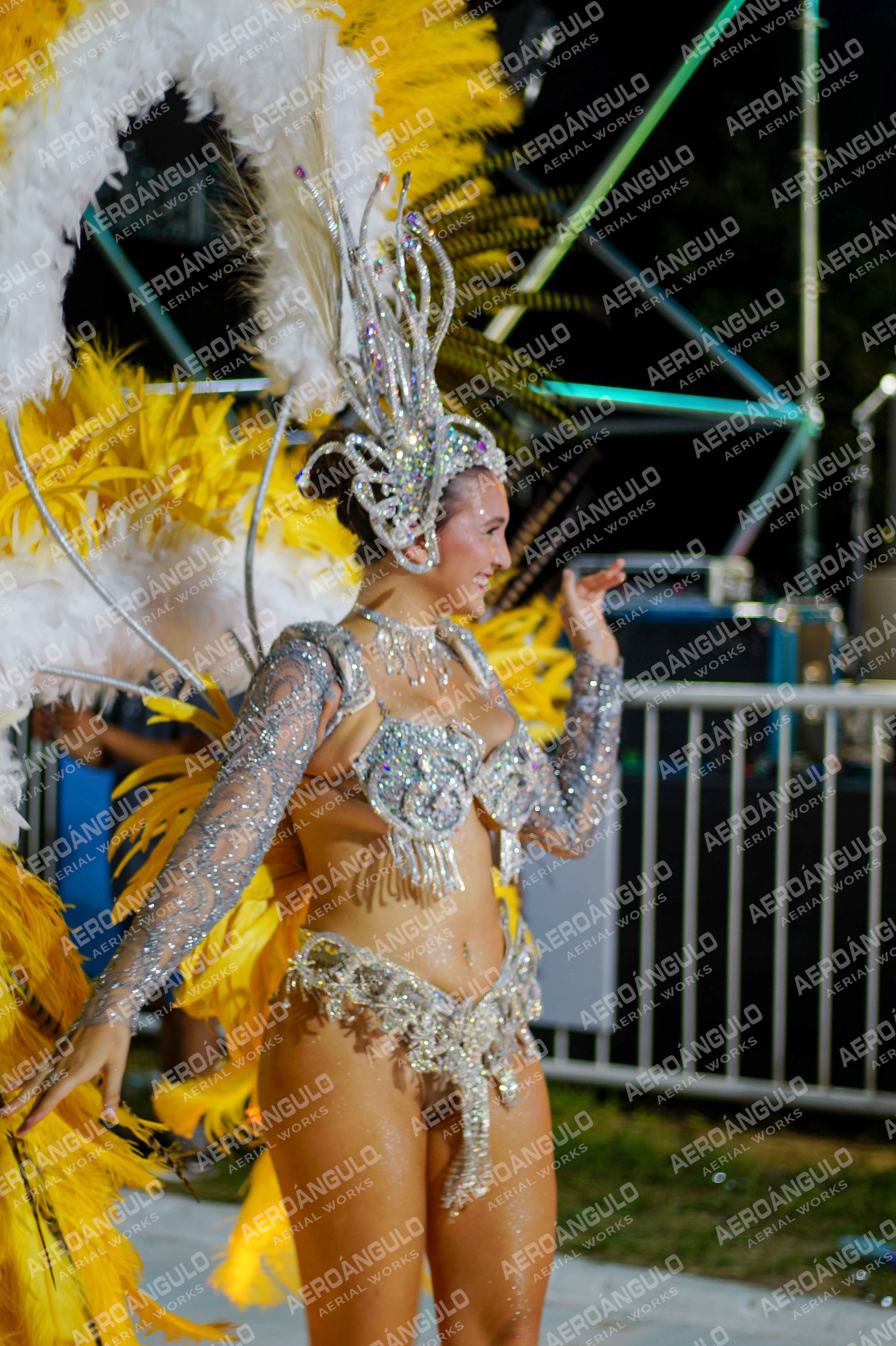 CAROCARNAVALESDIA1 N°236