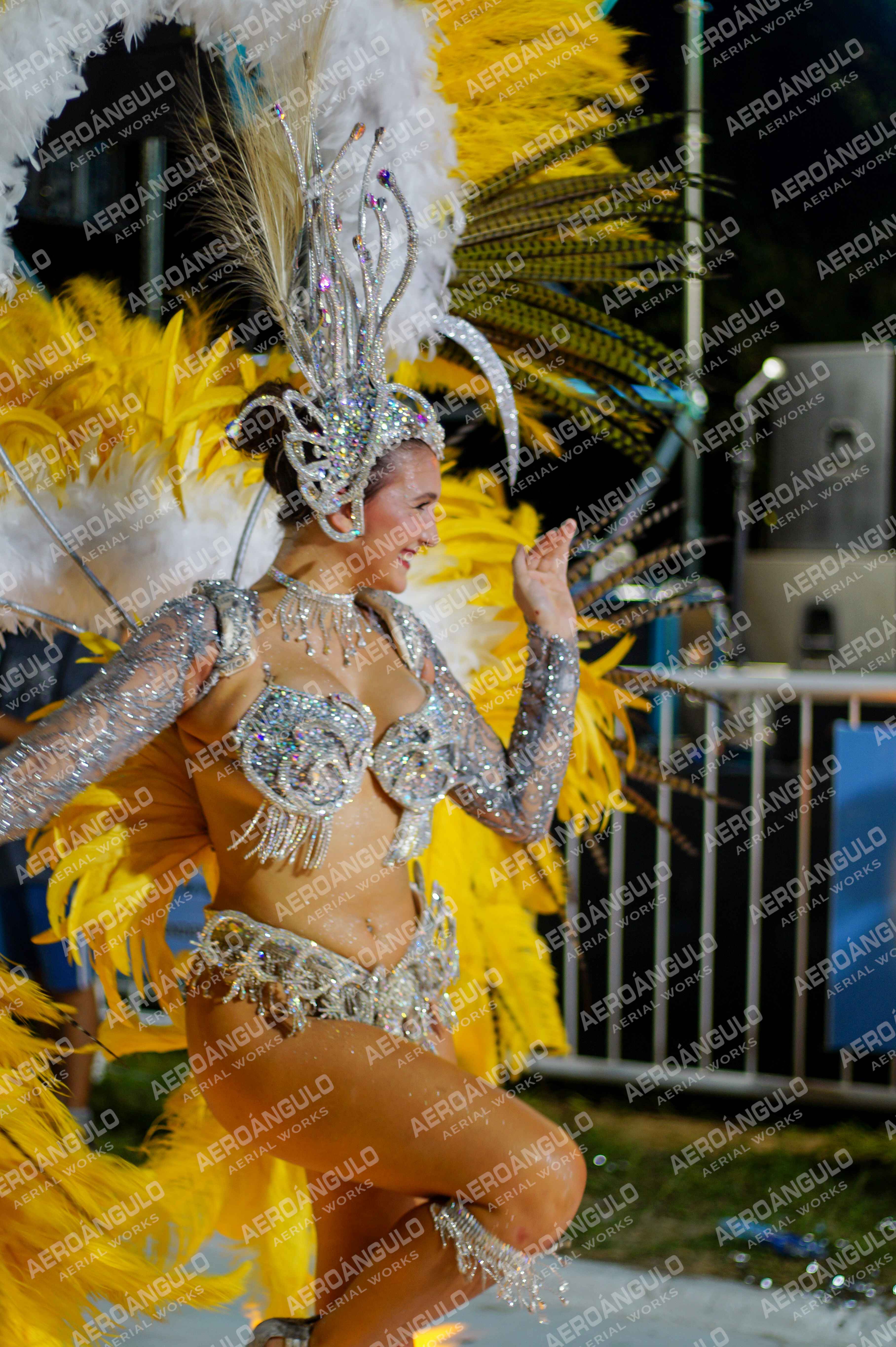 CAROCARNAVALESDIA1 N°237