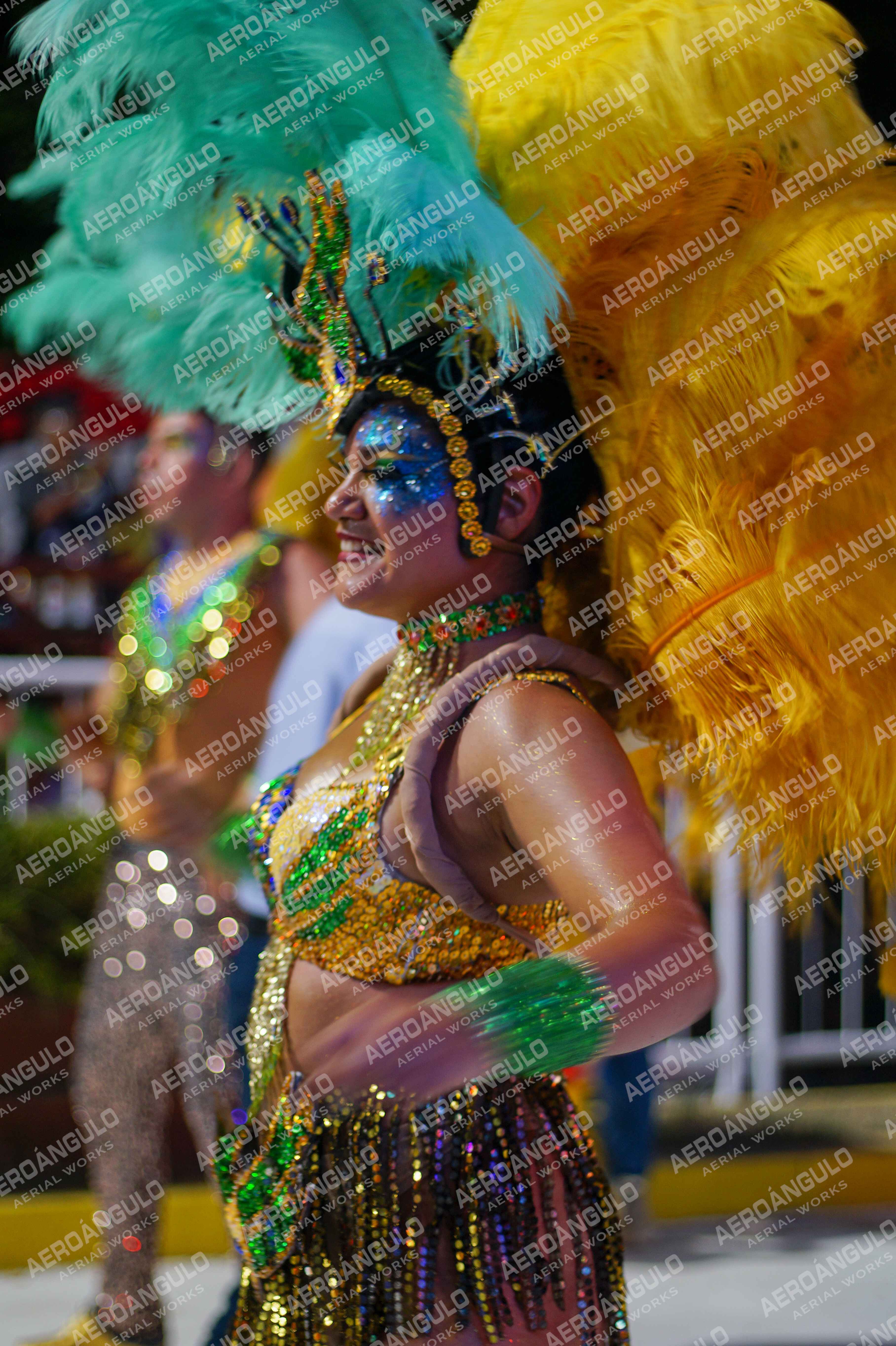 CAROCARNAVALESDIA1 N°238